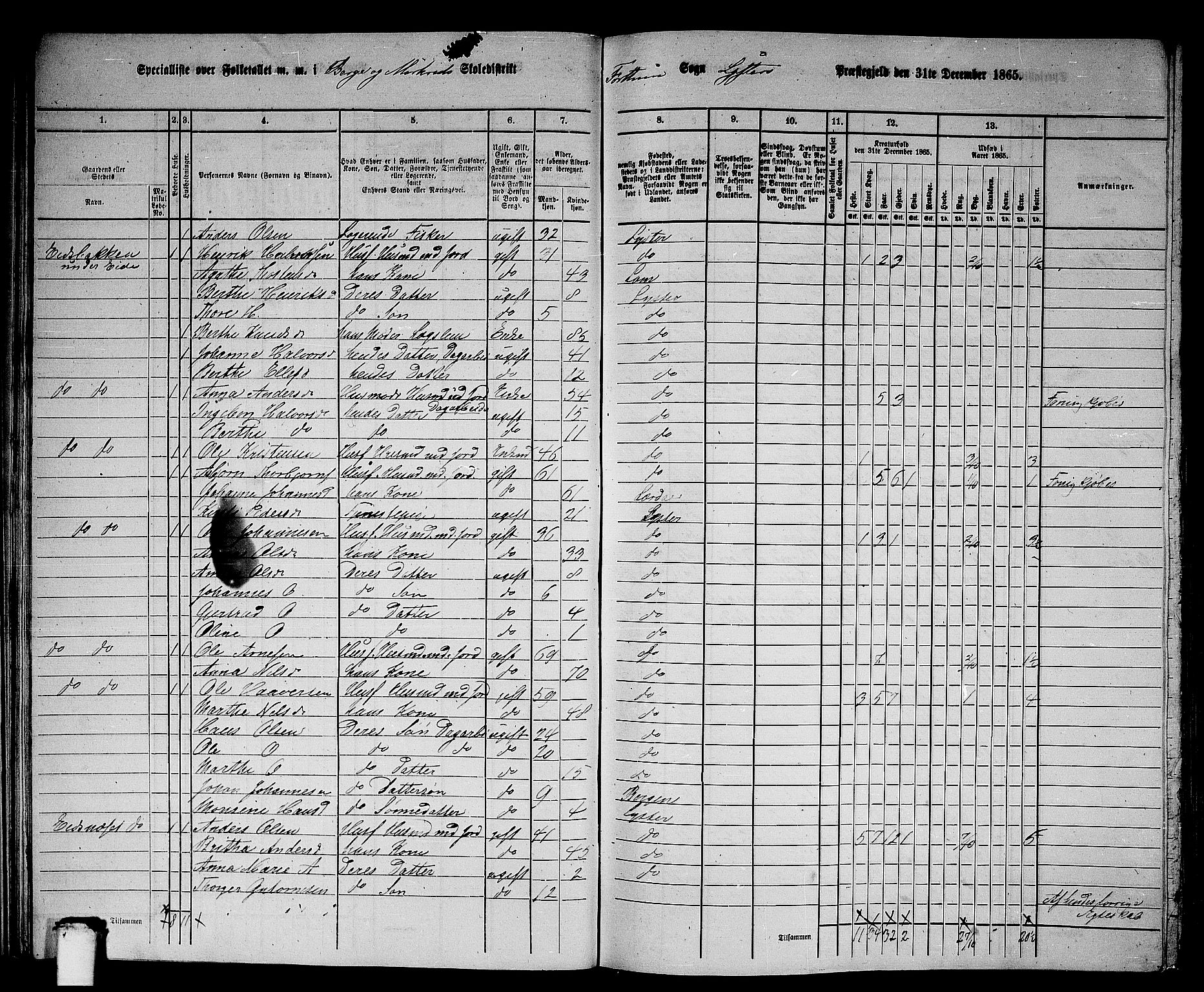 RA, 1865 census for Luster, 1865, p. 30