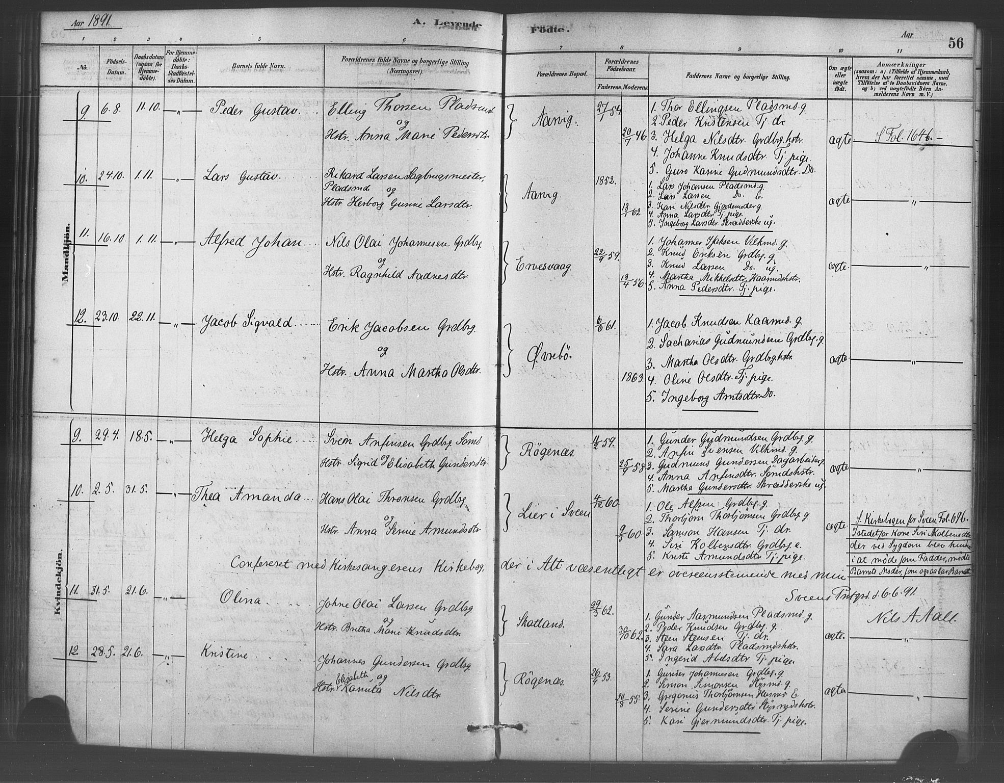 Sveio Sokneprestembete, AV/SAB-A-78501/H/Haa: Parish register (official) no. D 1, 1878-1894, p. 56