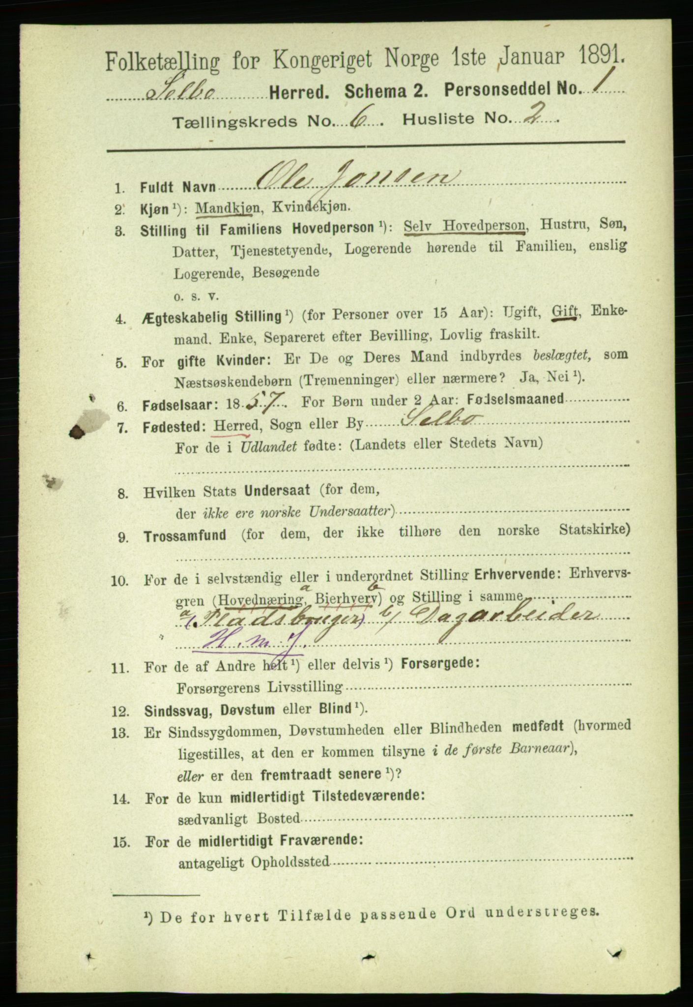 RA, 1891 census for 1664 Selbu, 1891, p. 2133