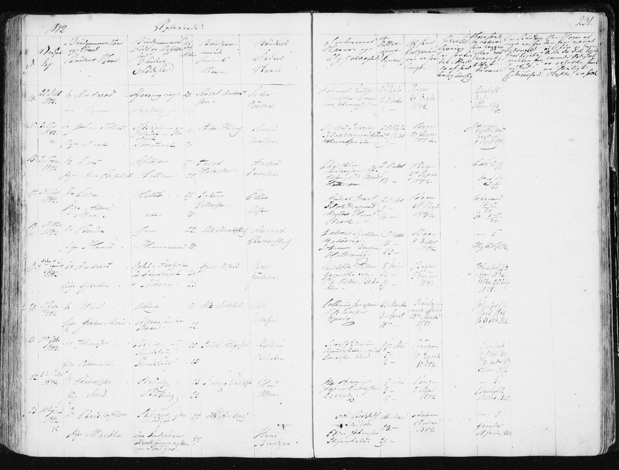 Ministerialprotokoller, klokkerbøker og fødselsregistre - Sør-Trøndelag, AV/SAT-A-1456/634/L0528: Parish register (official) no. 634A04, 1827-1842, p. 231