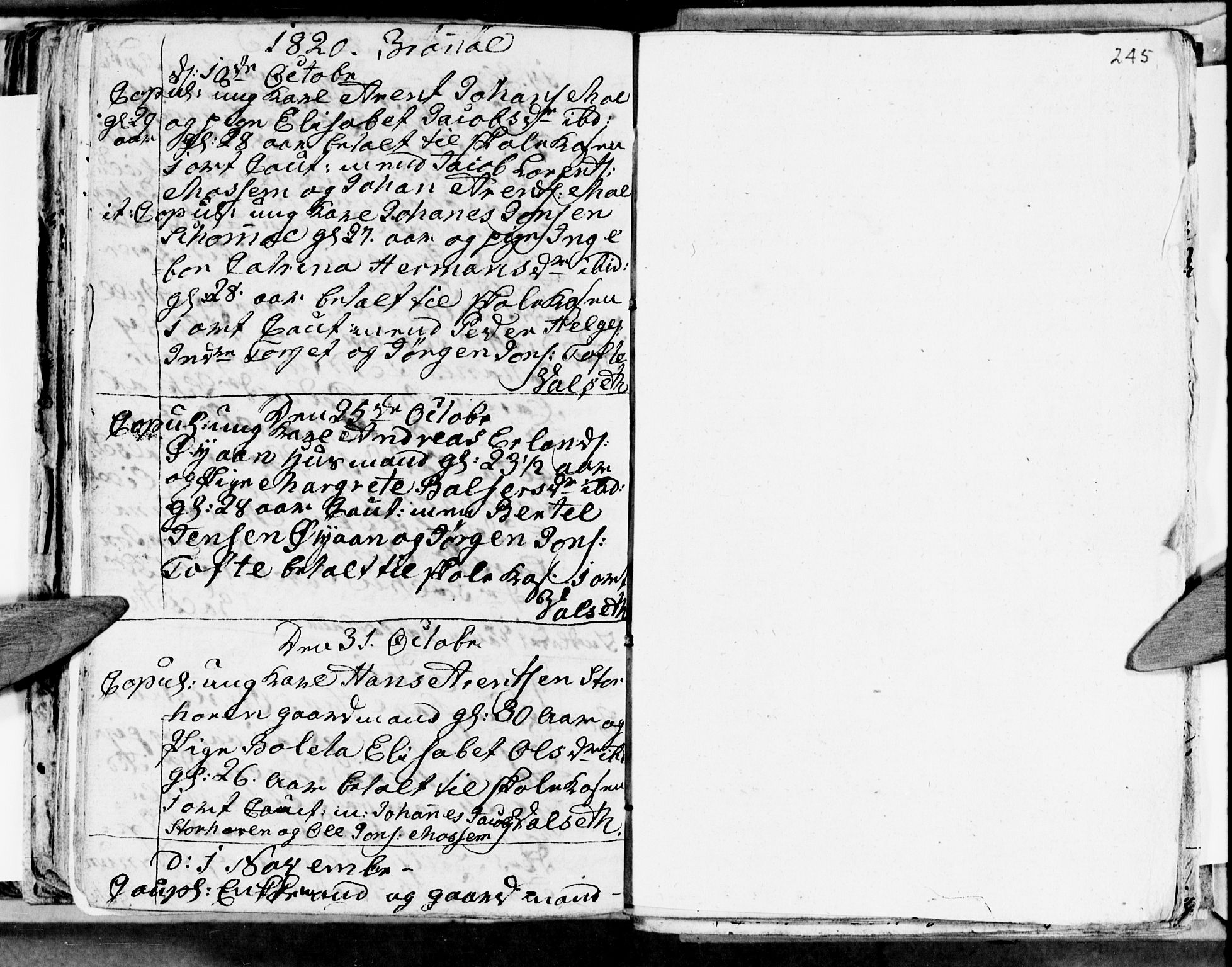 Ministerialprotokoller, klokkerbøker og fødselsregistre - Nordland, AV/SAT-A-1459/813/L0209: Parish register (copy) no. 813C01, 1803-1821, p. 245