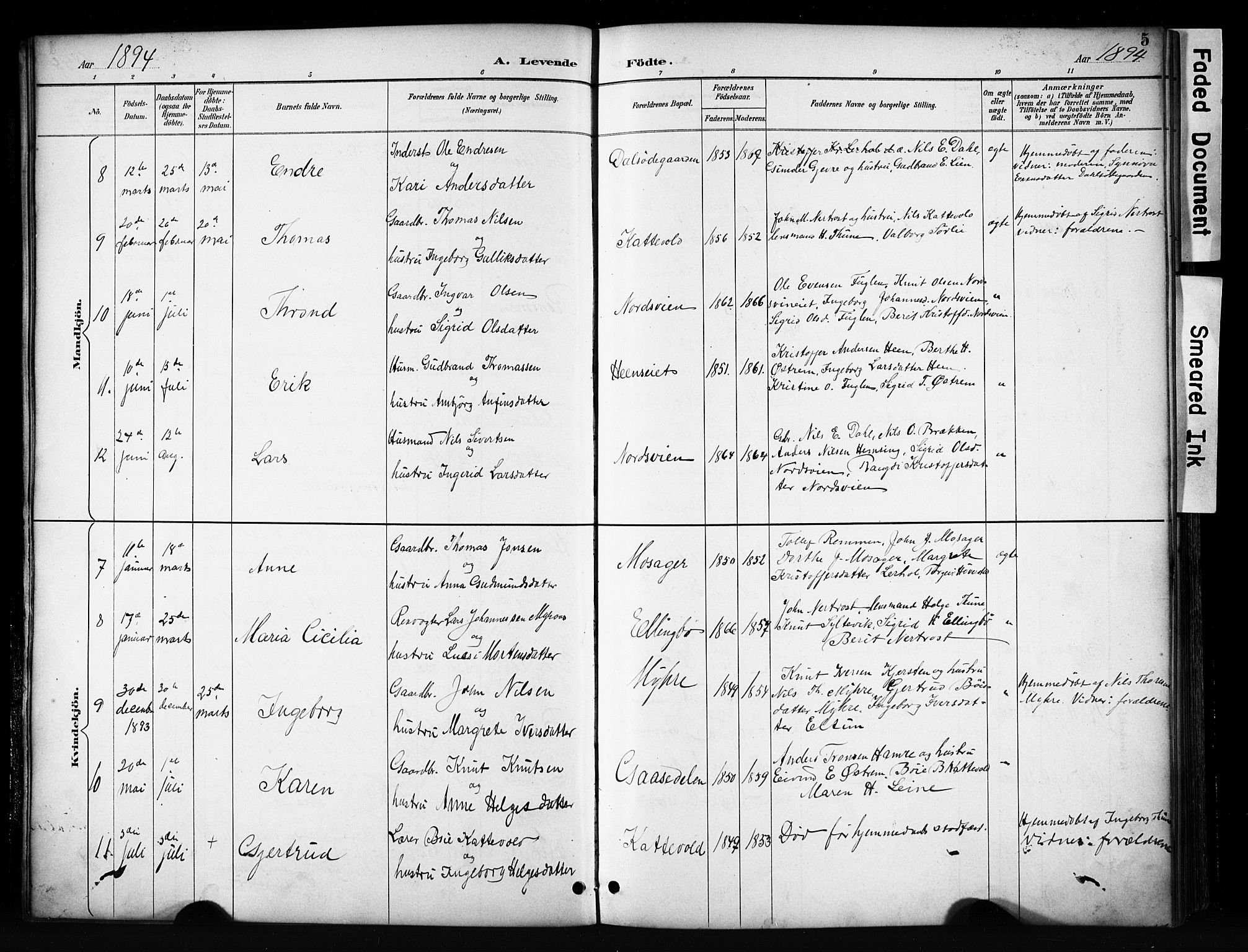 Vang prestekontor, Valdres, SAH/PREST-140/H/Hb/L0006: Parish register (copy) no. 6, 1893-1918, p. 5