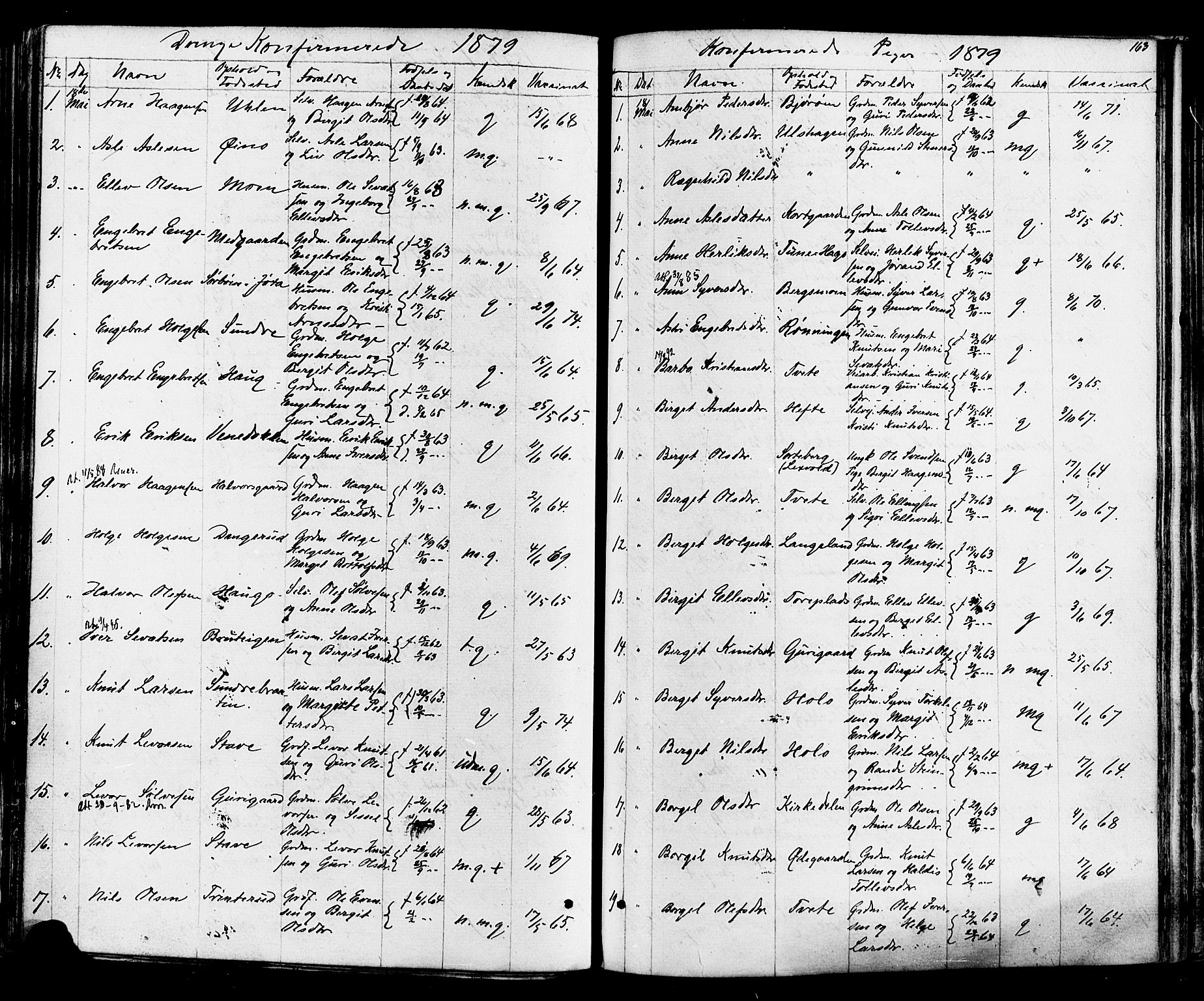 Ål kirkebøker, SAKO/A-249/F/Fa/L0007: Parish register (official) no. I 7, 1865-1881, p. 163