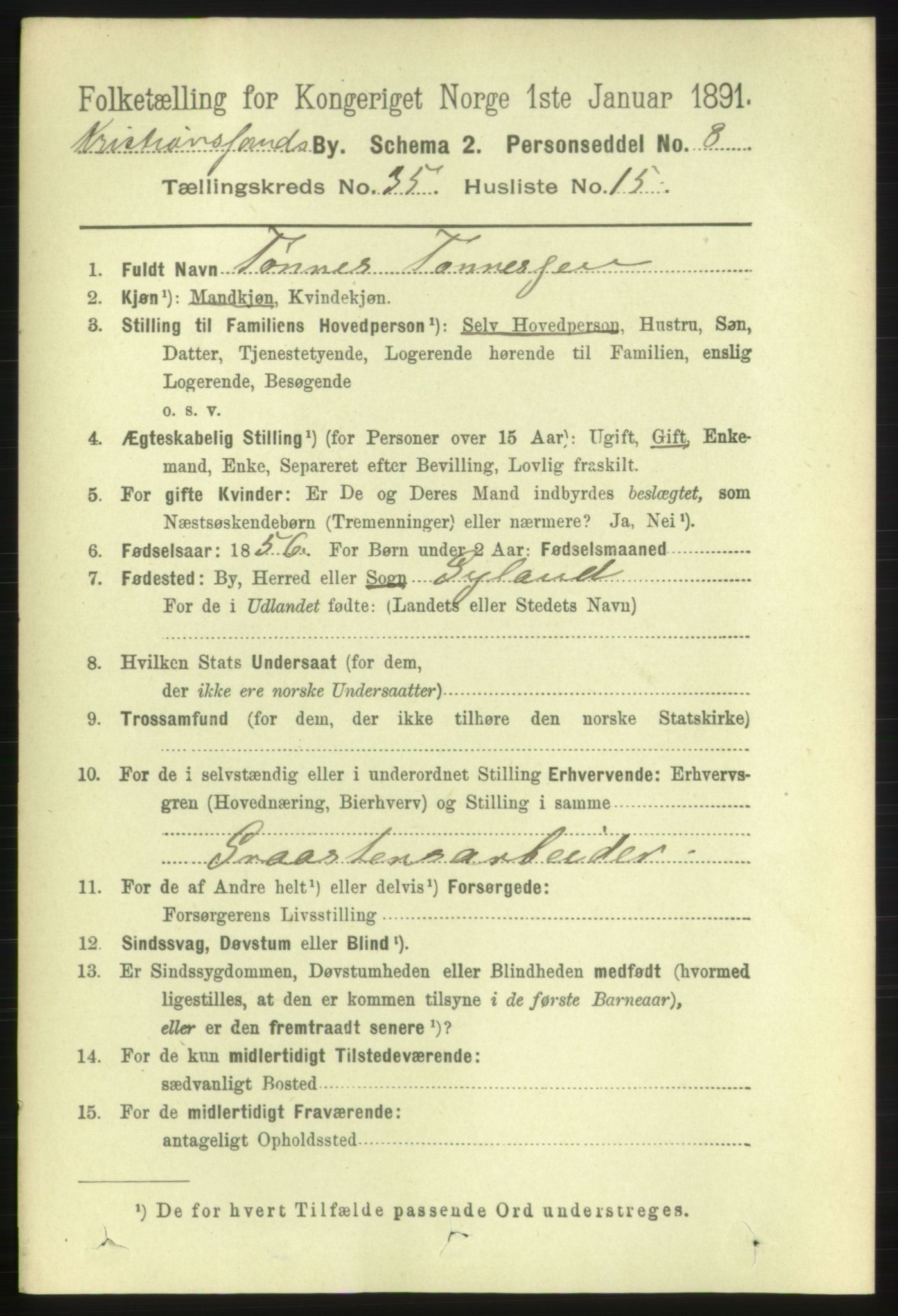 RA, 1891 census for 1001 Kristiansand, 1891, p. 11216