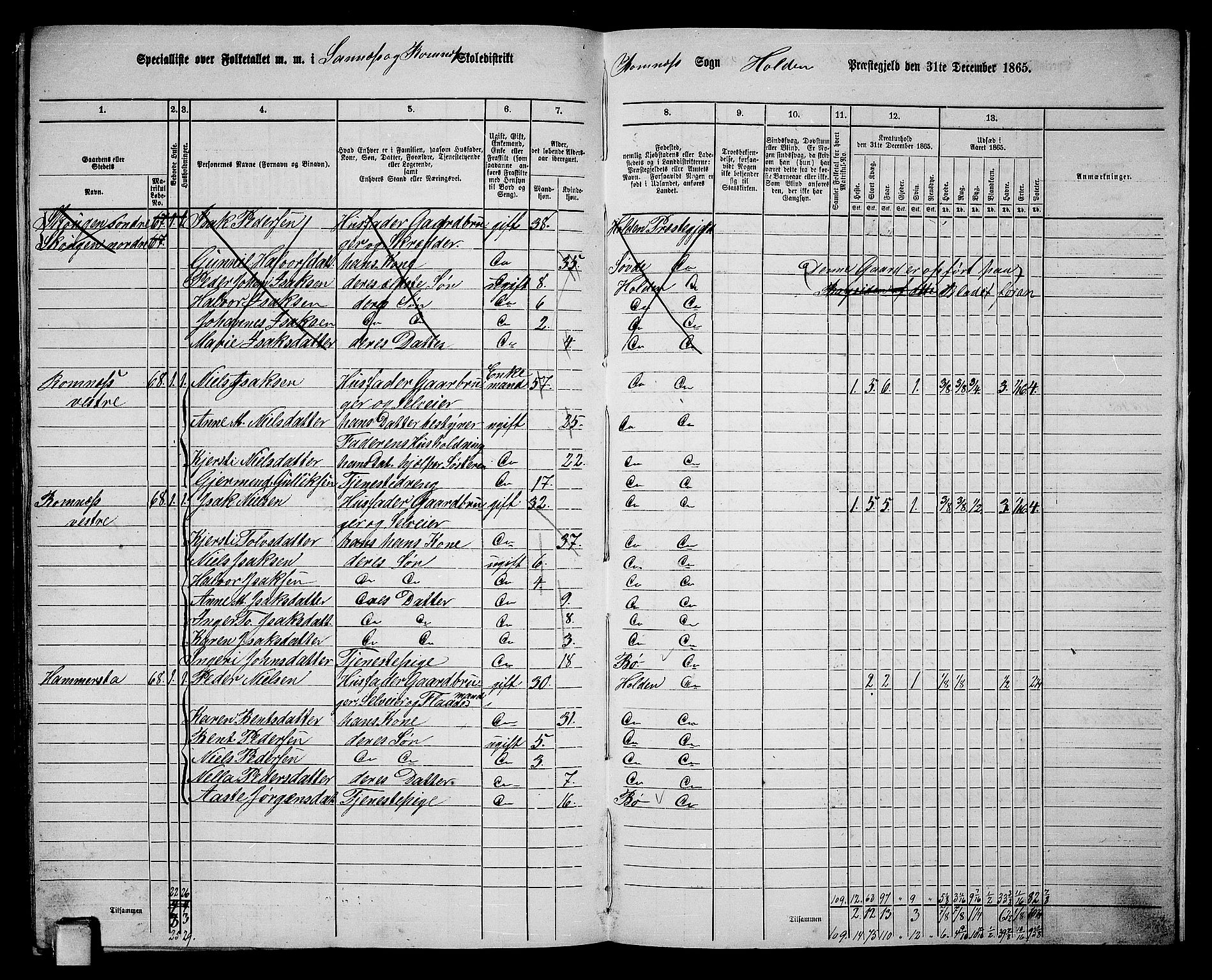 RA, 1865 census for Holla, 1865, p. 149