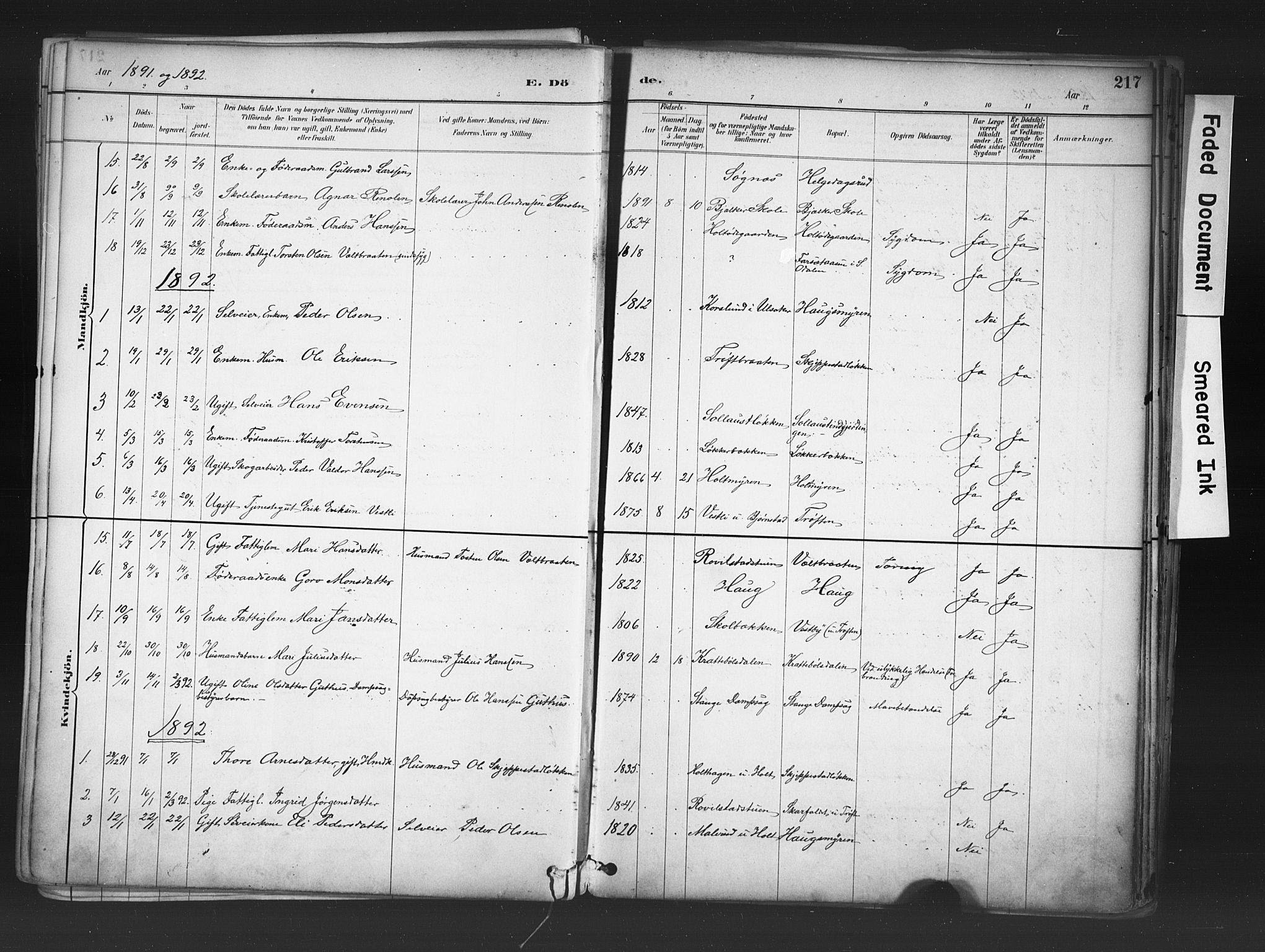 Nord-Odal prestekontor, AV/SAH-PREST-032/H/Ha/Haa/L0006: Parish register (official) no. 6, 1886-1901, p. 217