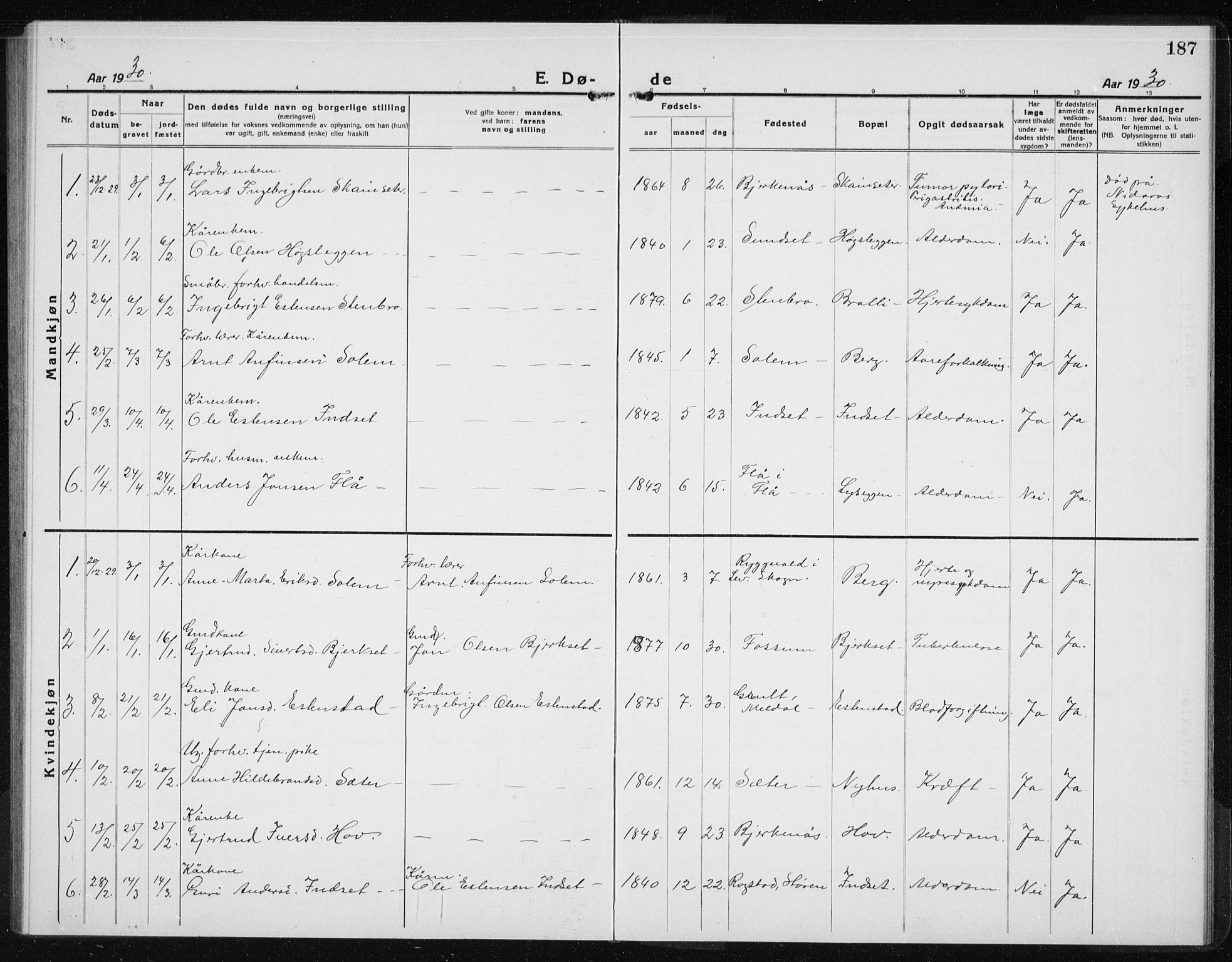Ministerialprotokoller, klokkerbøker og fødselsregistre - Sør-Trøndelag, SAT/A-1456/689/L1045: Parish register (copy) no. 689C04, 1923-1940, p. 187
