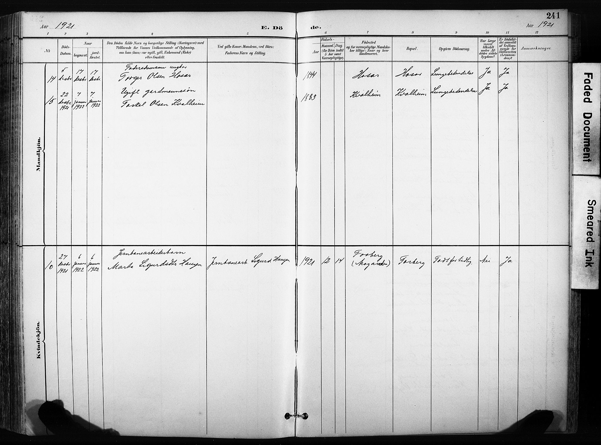 Skjåk prestekontor, SAH/PREST-072/H/Ha/Hab/L0003: Parish register (copy) no. 3, 1893-1932, p. 241