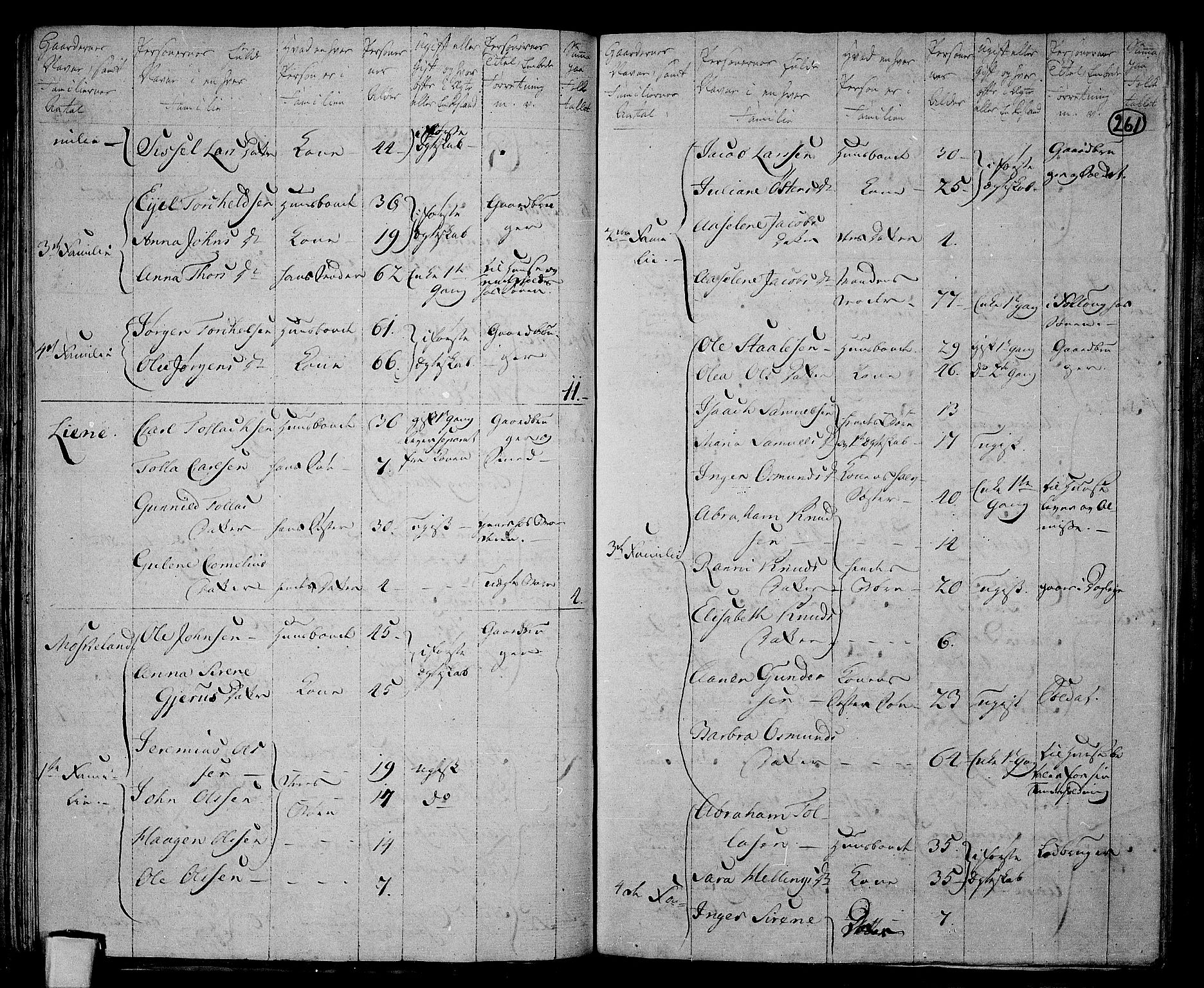 RA, 1801 census for 1032P Lyngdal, 1801, p. 260b-261a