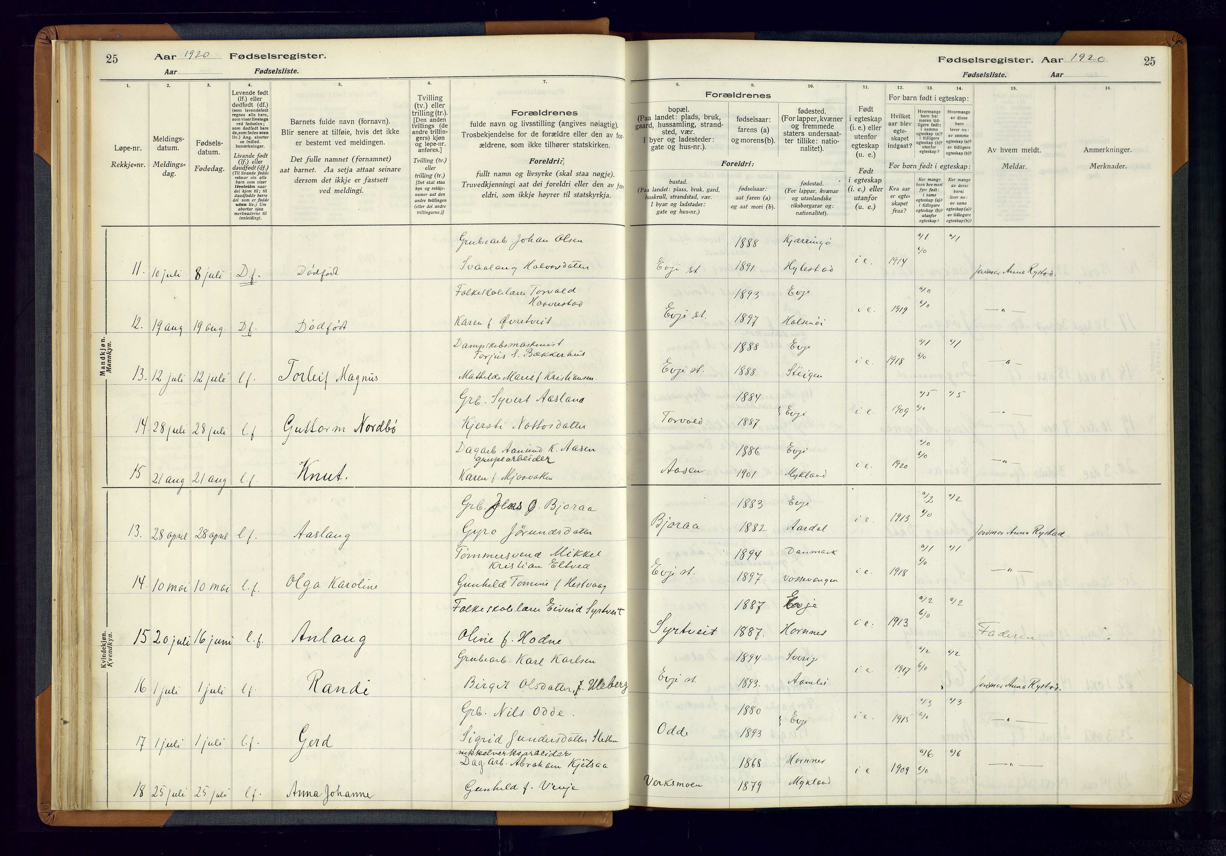 Evje sokneprestkontor, AV/SAK-1111-0008/J/Jc/L0004: Birth register no. 4, 1916-1968, p. 25