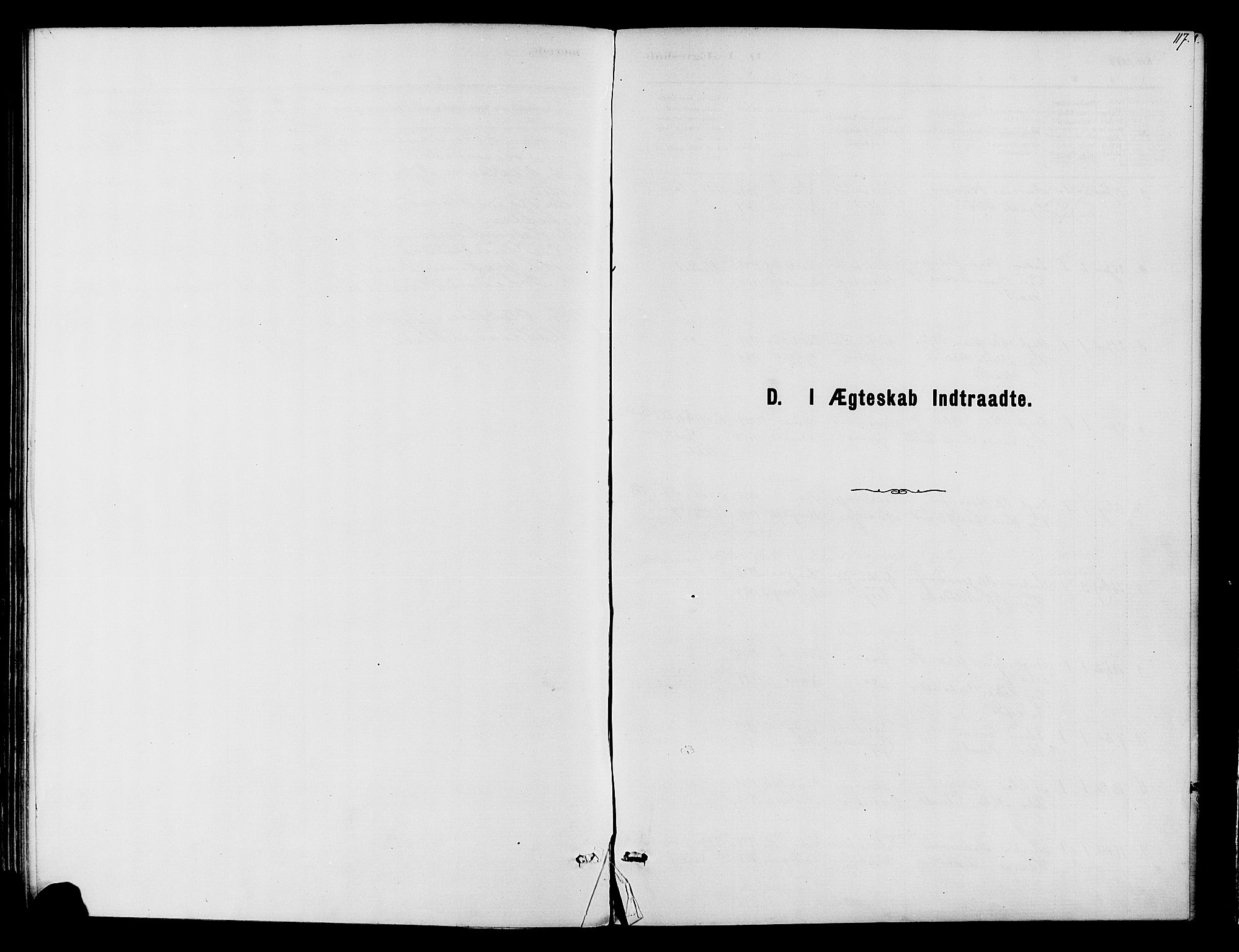 Vardal prestekontor, SAH/PREST-100/H/Ha/Haa/L0010: Parish register (official) no. 10, 1878-1893, p. 117
