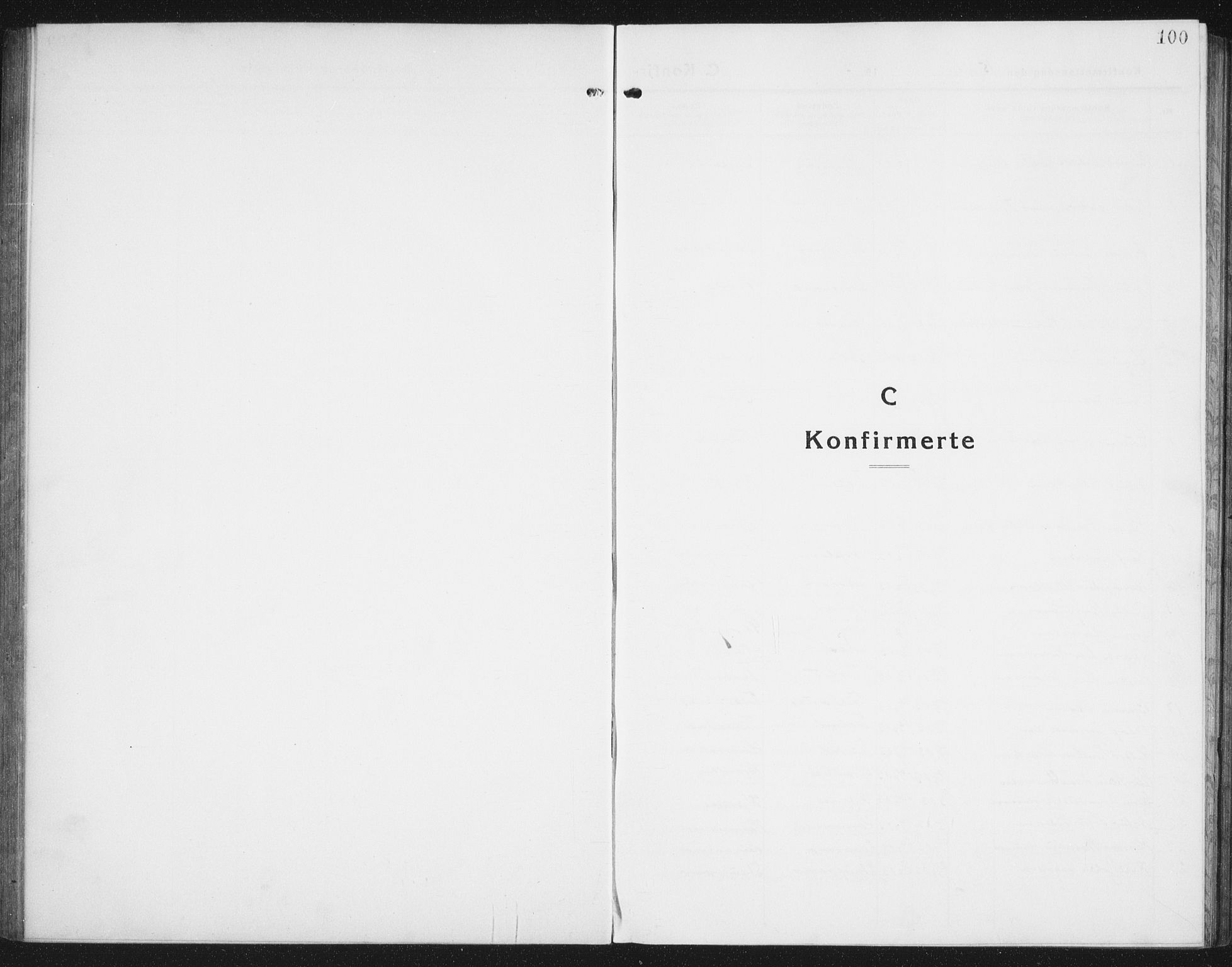 Ministerialprotokoller, klokkerbøker og fødselsregistre - Nordland, SAT/A-1459/846/L0656: Parish register (copy) no. 846C06, 1917-1936, p. 100
