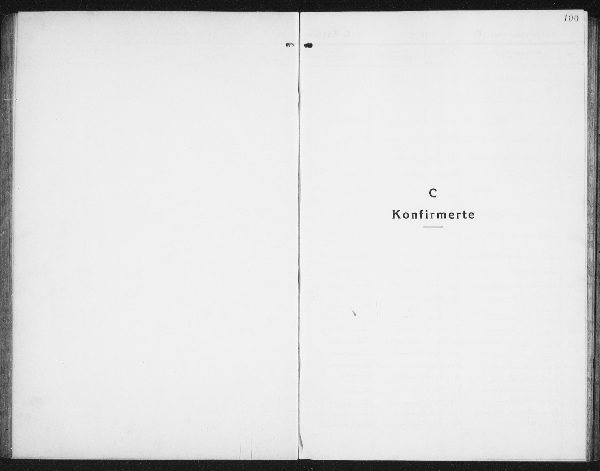 Ministerialprotokoller, klokkerbøker og fødselsregistre - Nordland, AV/SAT-A-1459/846/L0656: Parish register (copy) no. 846C06, 1917-1936, p. 100