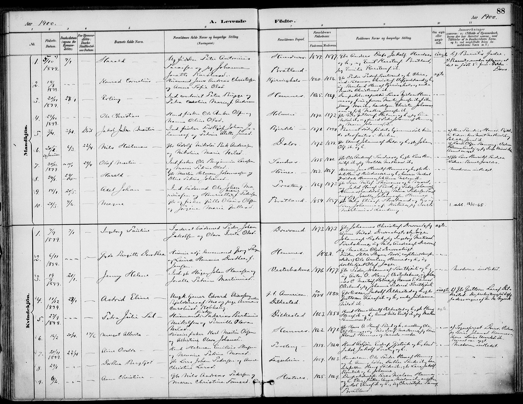 Ministerialprotokoller, klokkerbøker og fødselsregistre - Nordland, SAT/A-1459/825/L0362: Parish register (official) no. 825A16, 1886-1908, p. 88