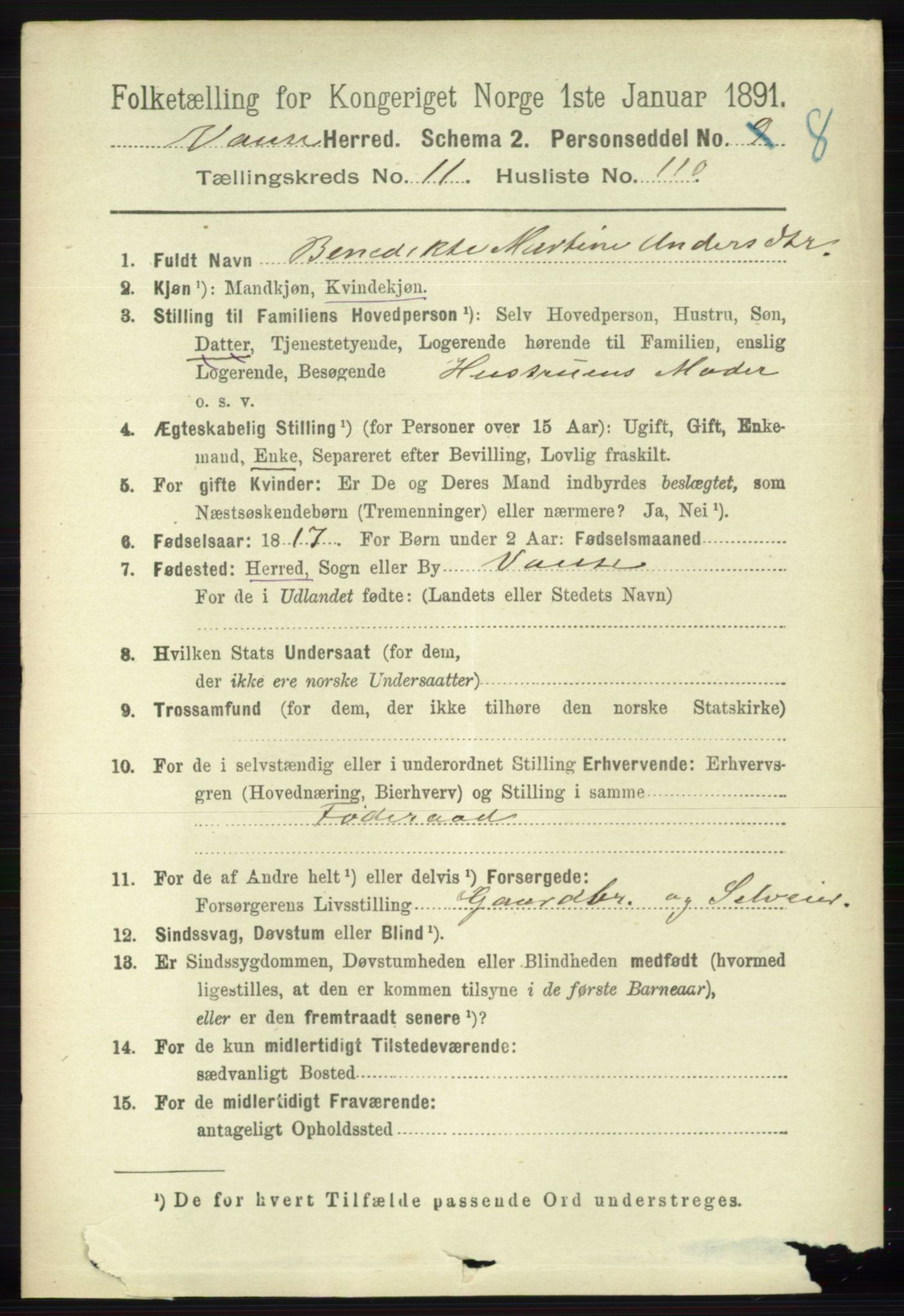 RA, 1891 census for 1041 Vanse, 1891, p. 6665