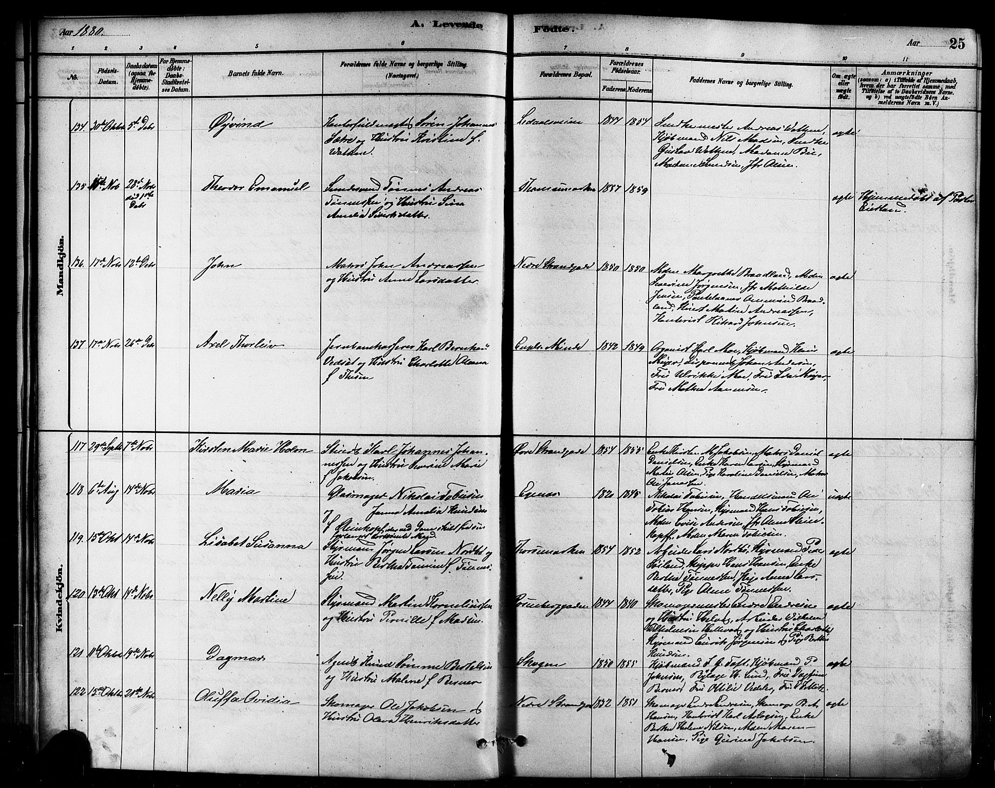Domkirken sokneprestkontor, AV/SAST-A-101812/001/30/30BB/L0015: Parish register (copy) no. B 15, 1880-1891, p. 25