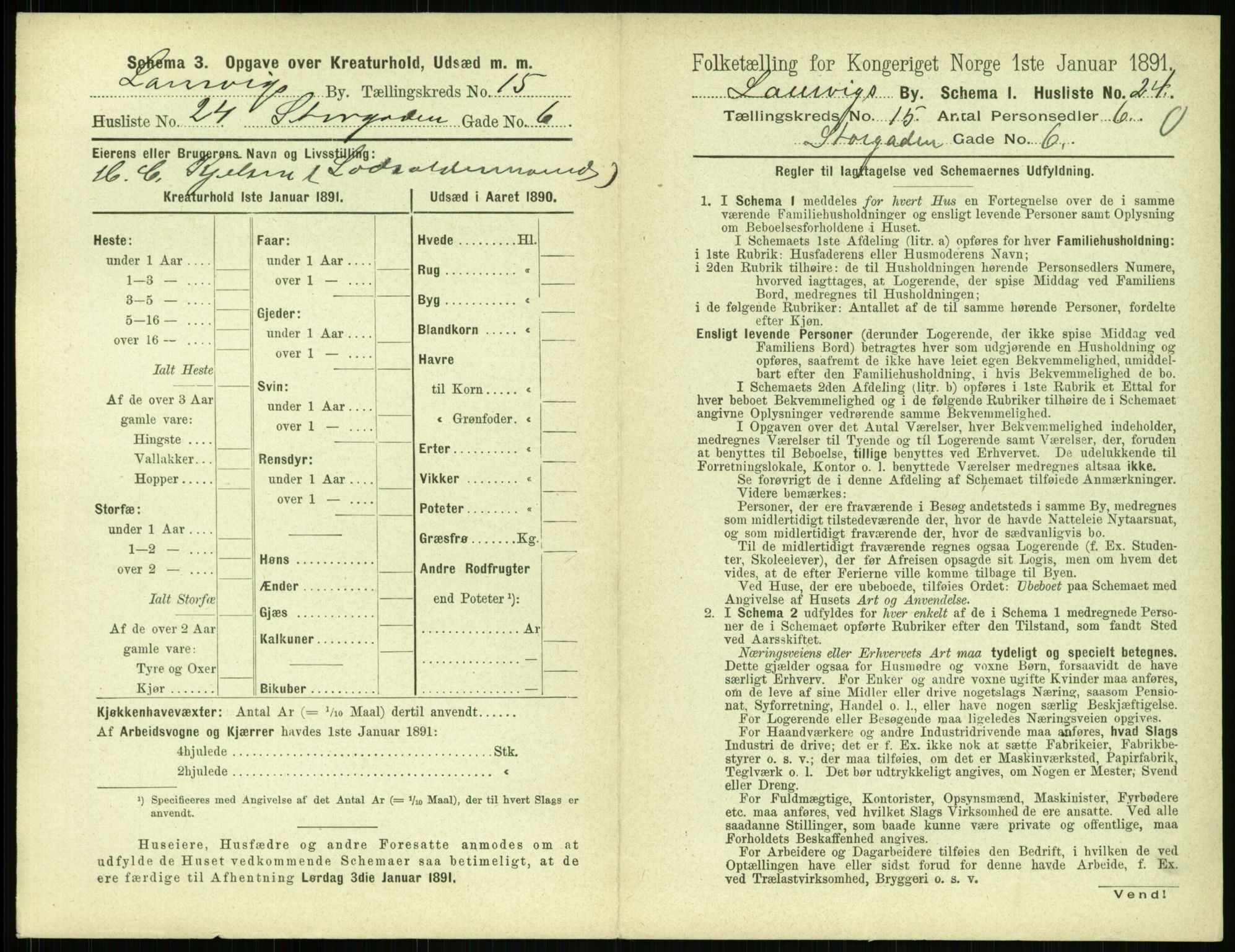 RA, 1891 census for 0707 Larvik, 1891, p. 1743