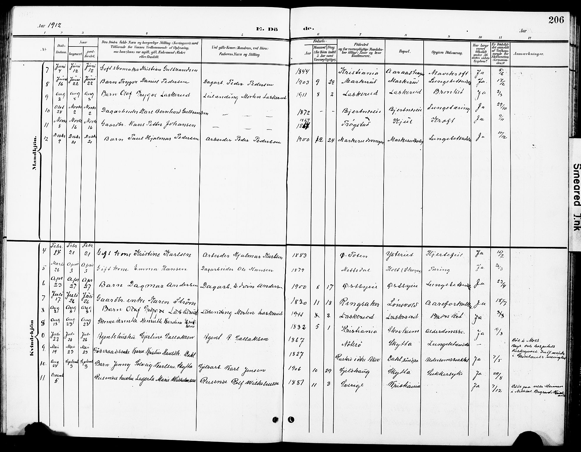 Nittedal prestekontor Kirkebøker, SAO/A-10365a/G/Ga/L0003: Parish register (copy) no. I 3, 1902-1929, p. 206