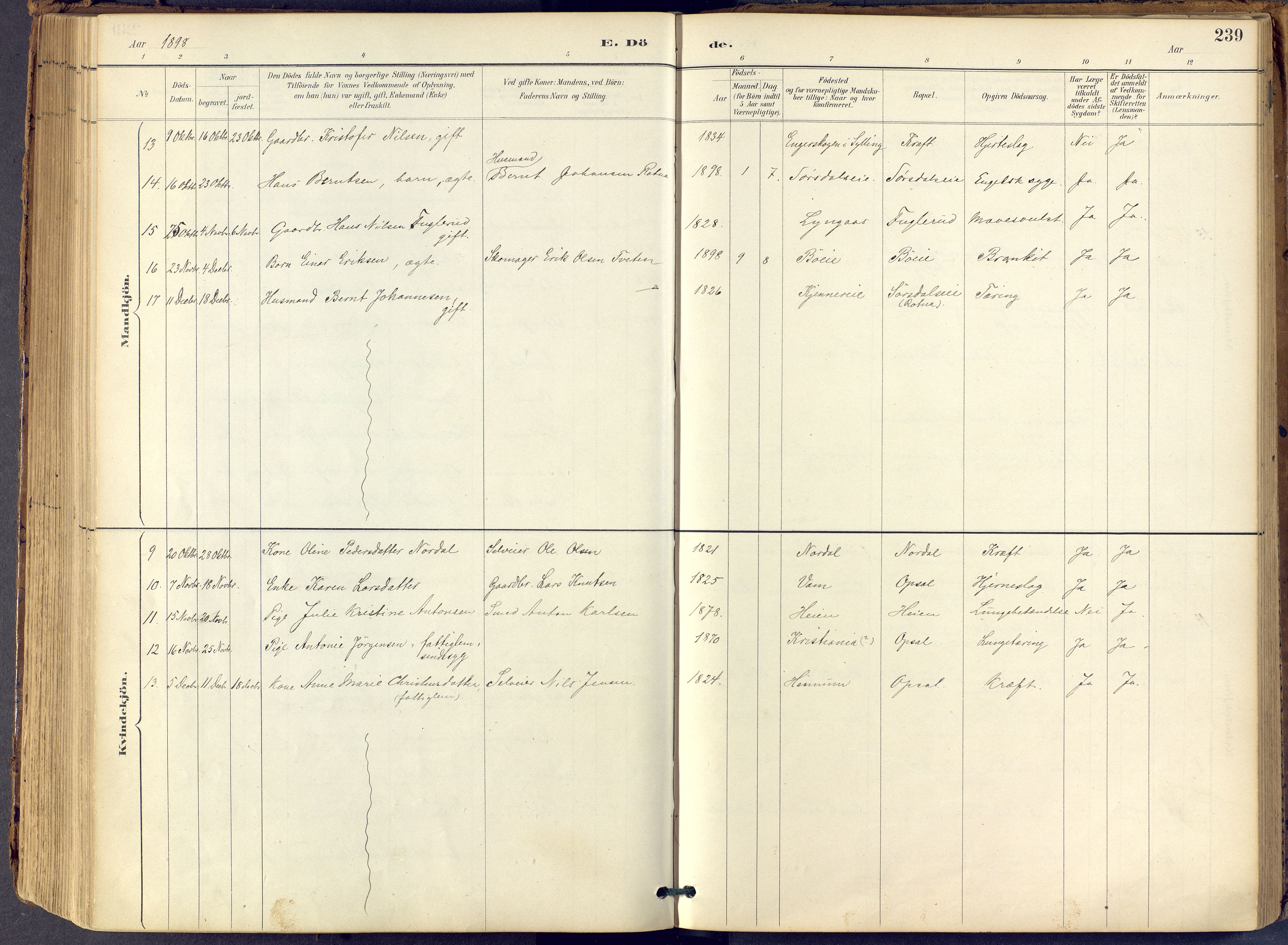 Lier kirkebøker, SAKO/A-230/F/Fb/L0001: Parish register (official) no. II 1, 1883-1910, p. 239