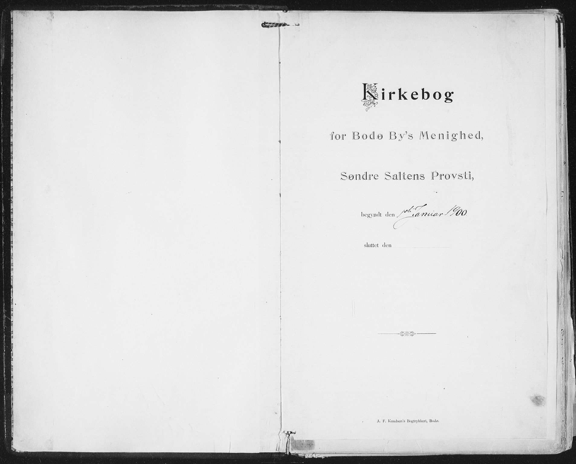 Ministerialprotokoller, klokkerbøker og fødselsregistre - Nordland, AV/SAT-A-1459/801/L0011: Parish register (official) no. 801A11, 1900-1916