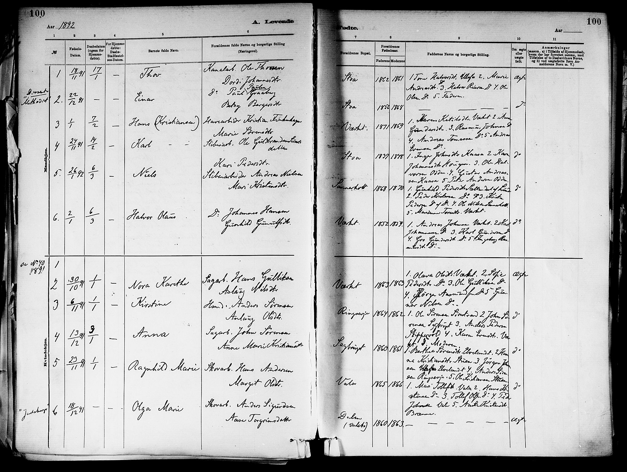 Holla kirkebøker, SAKO/A-272/F/Fa/L0008: Parish register (official) no. 8, 1882-1897, p. 100