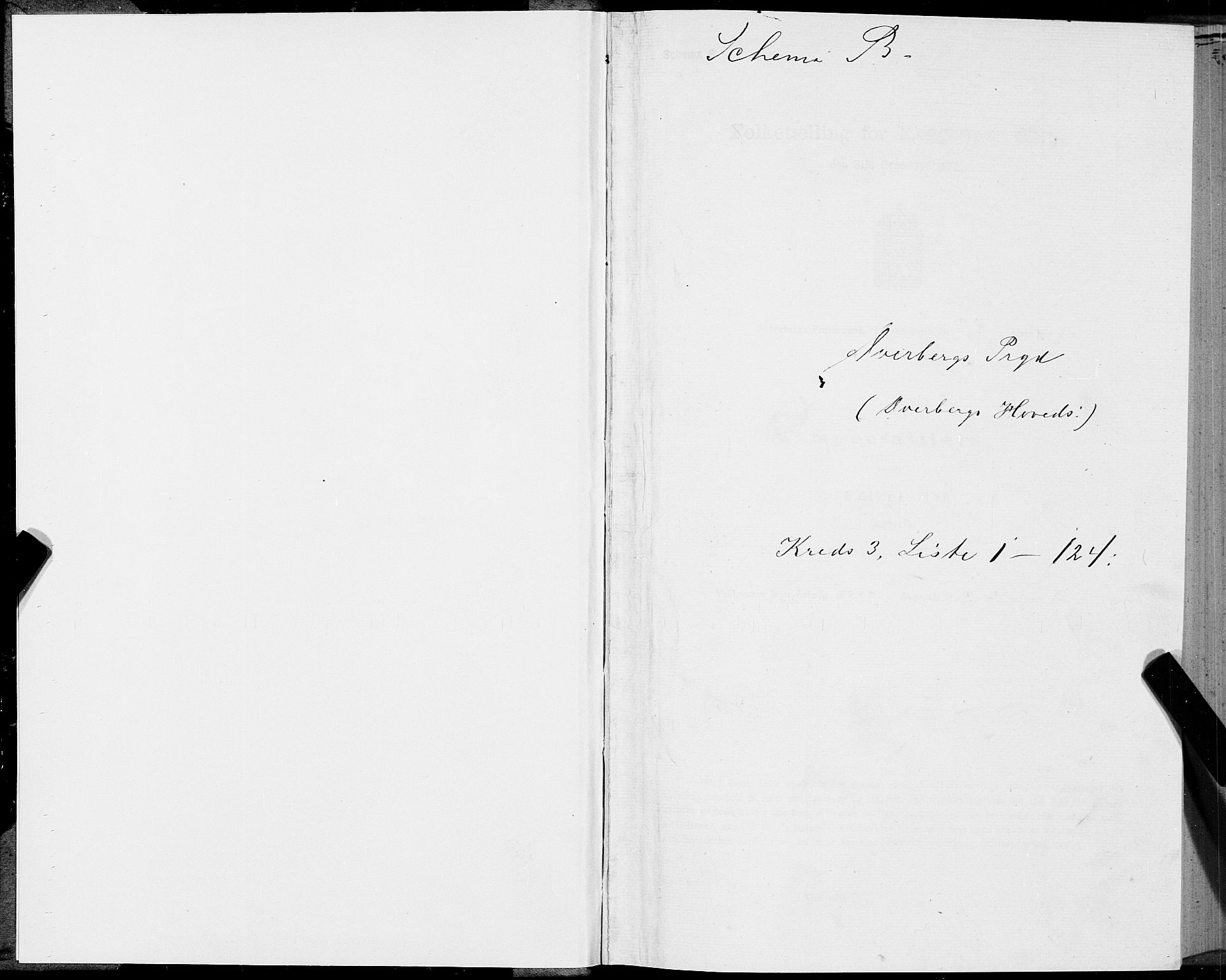 SAT, 1875 census for 1872P Dverberg, 1875