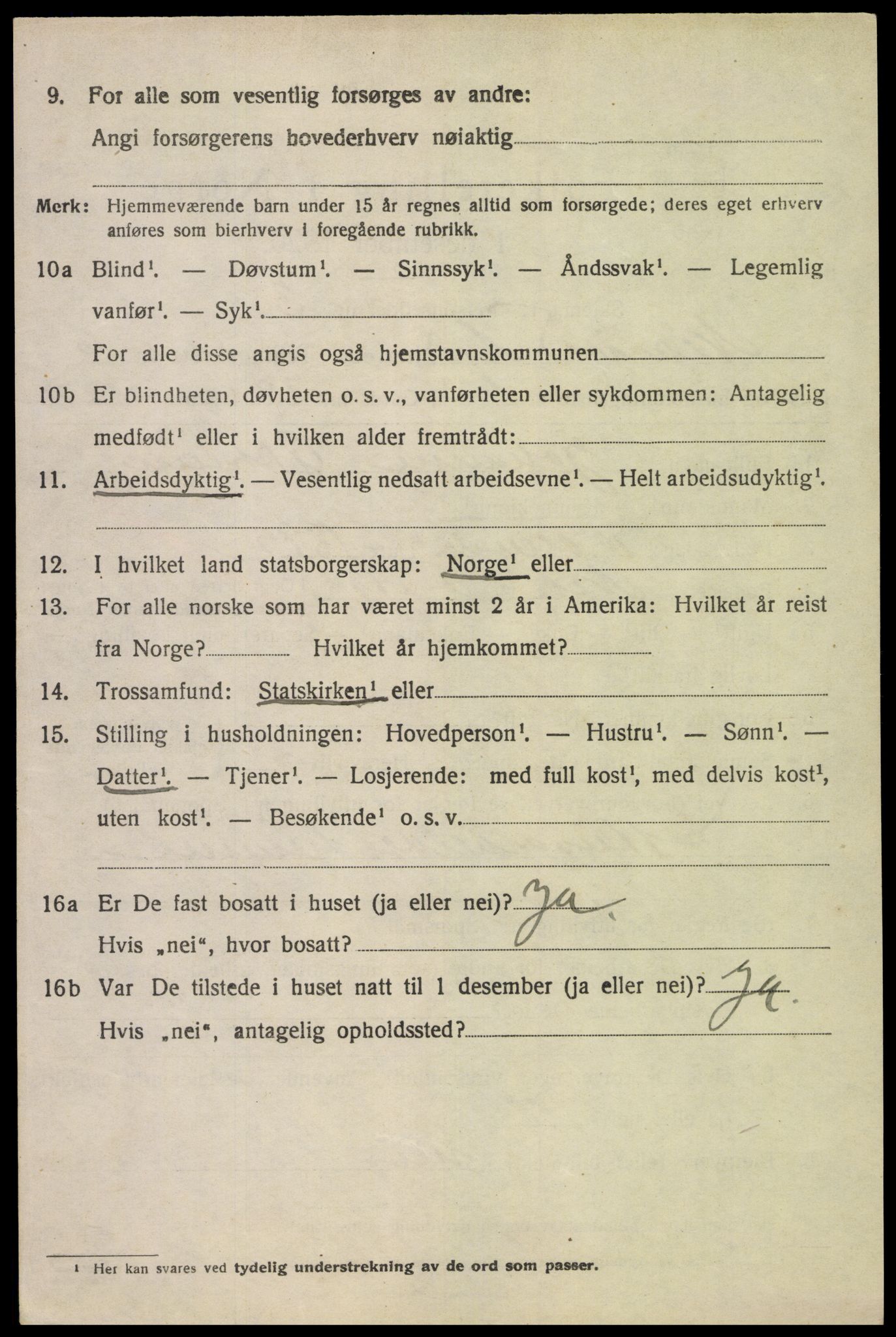 SAK, 1920 census for Nes (V-A), 1920, p. 3315