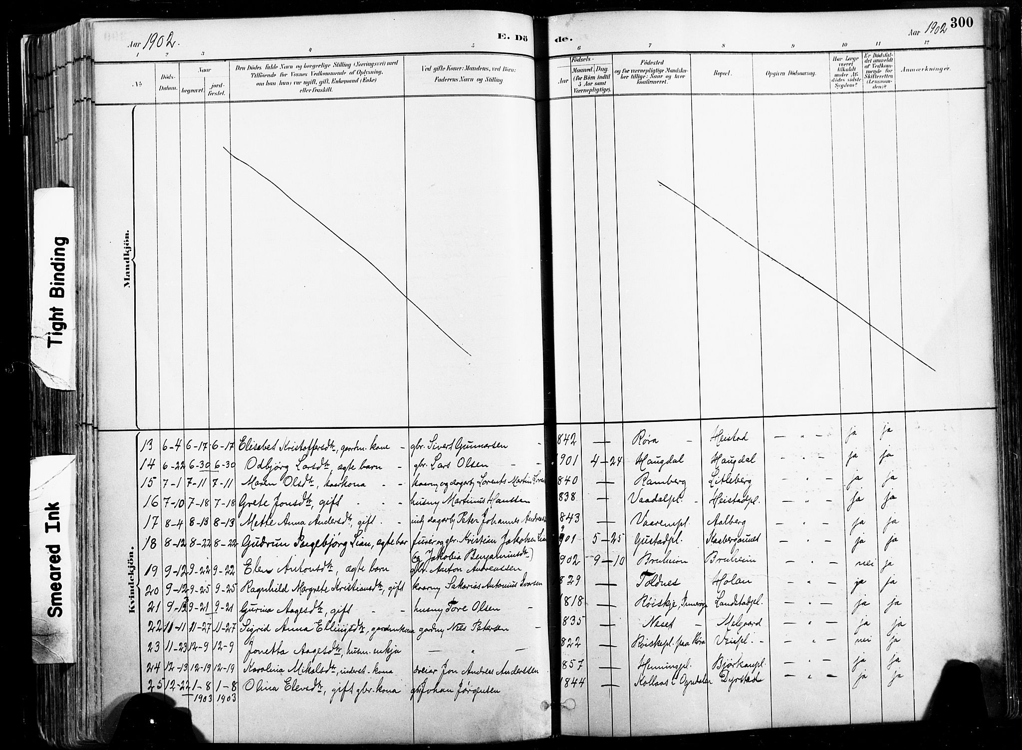 Ministerialprotokoller, klokkerbøker og fødselsregistre - Nord-Trøndelag, SAT/A-1458/735/L0351: Parish register (official) no. 735A10, 1884-1908, p. 300