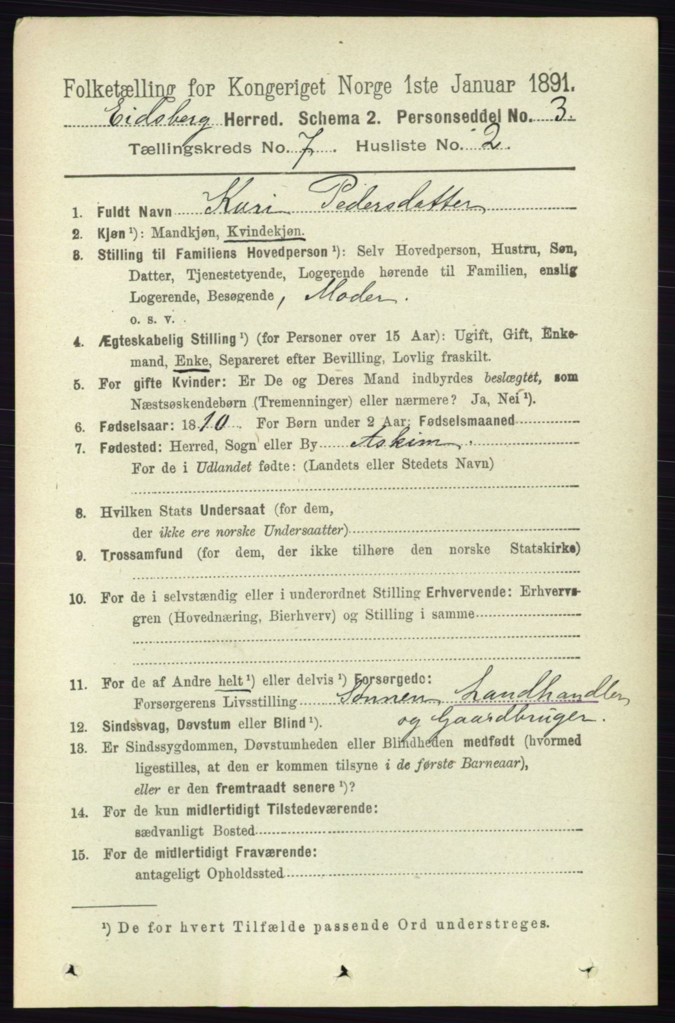 RA, 1891 census for 0125 Eidsberg, 1891, p. 4113