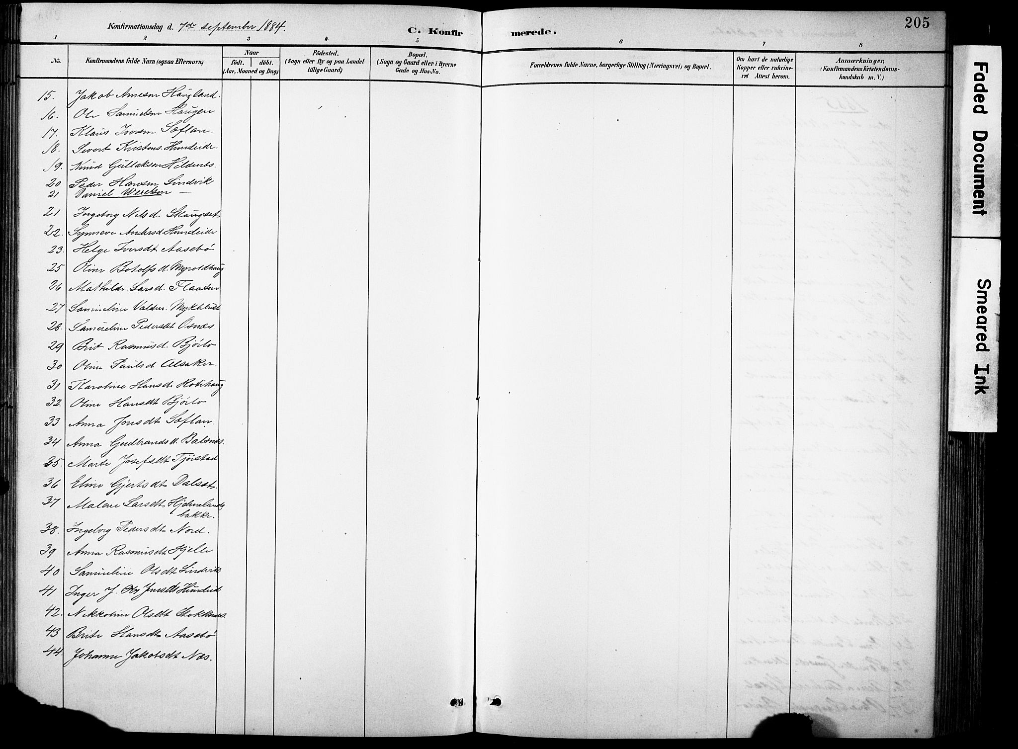 Eid sokneprestembete, AV/SAB-A-82301/H/Hab/Habb/L0002: Parish register (copy) no. B 2, 1882-1907, p. 205