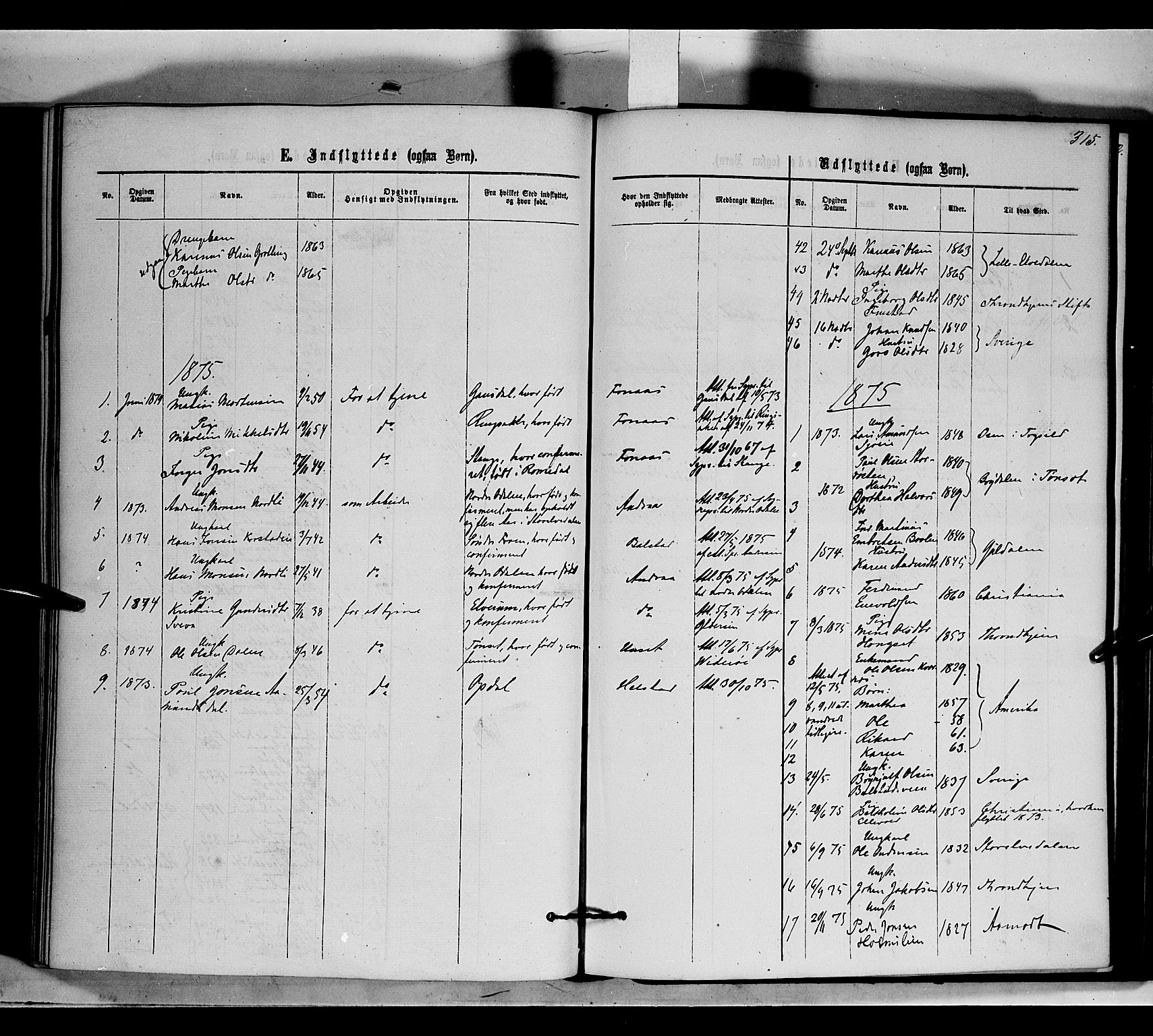 Rendalen prestekontor, SAH/PREST-054/H/Ha/Haa/L0006: Parish register (official) no. 6, 1867-1877, p. 315