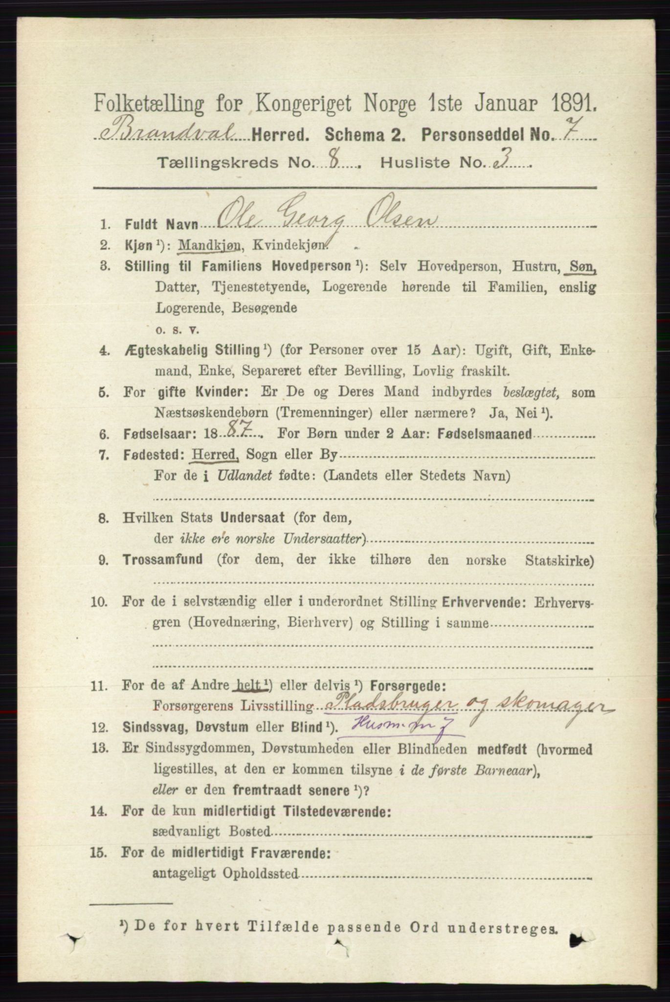 RA, 1891 census for 0422 Brandval, 1891, p. 3849