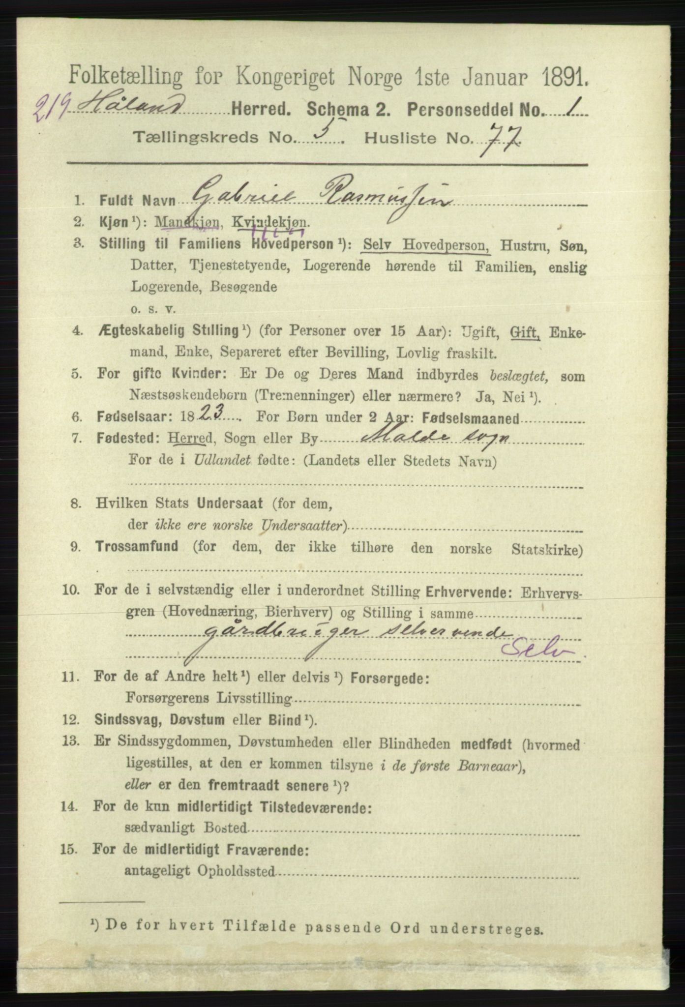 RA, 1891 census for 1124 Haaland, 1891, p. 3780