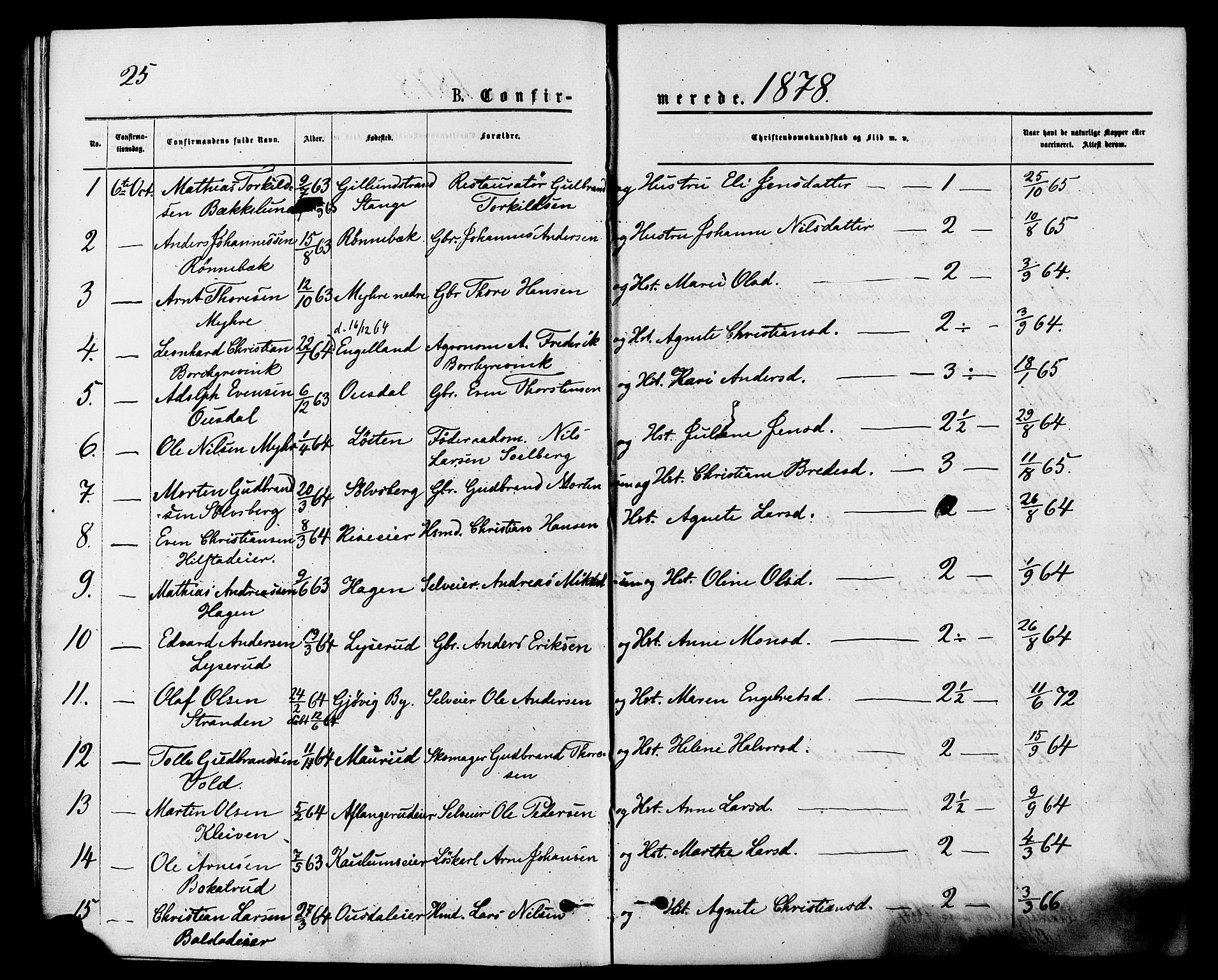 Nes prestekontor, Hedmark, AV/SAH-PREST-020/K/Ka/L0006: Parish register (official) no. 6, 1873-1886, p. 25
