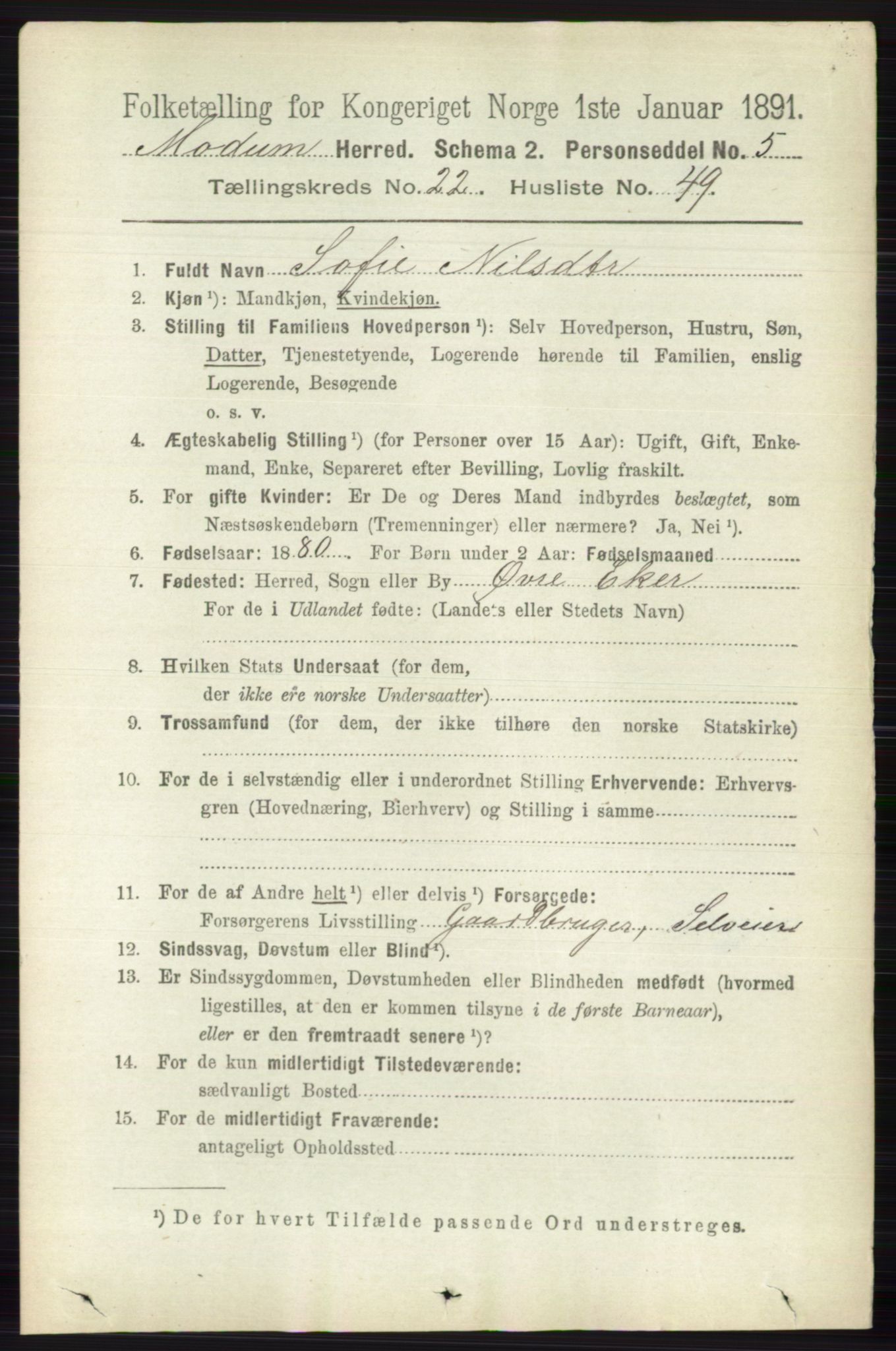 RA, 1891 census for 0623 Modum, 1891, p. 8658