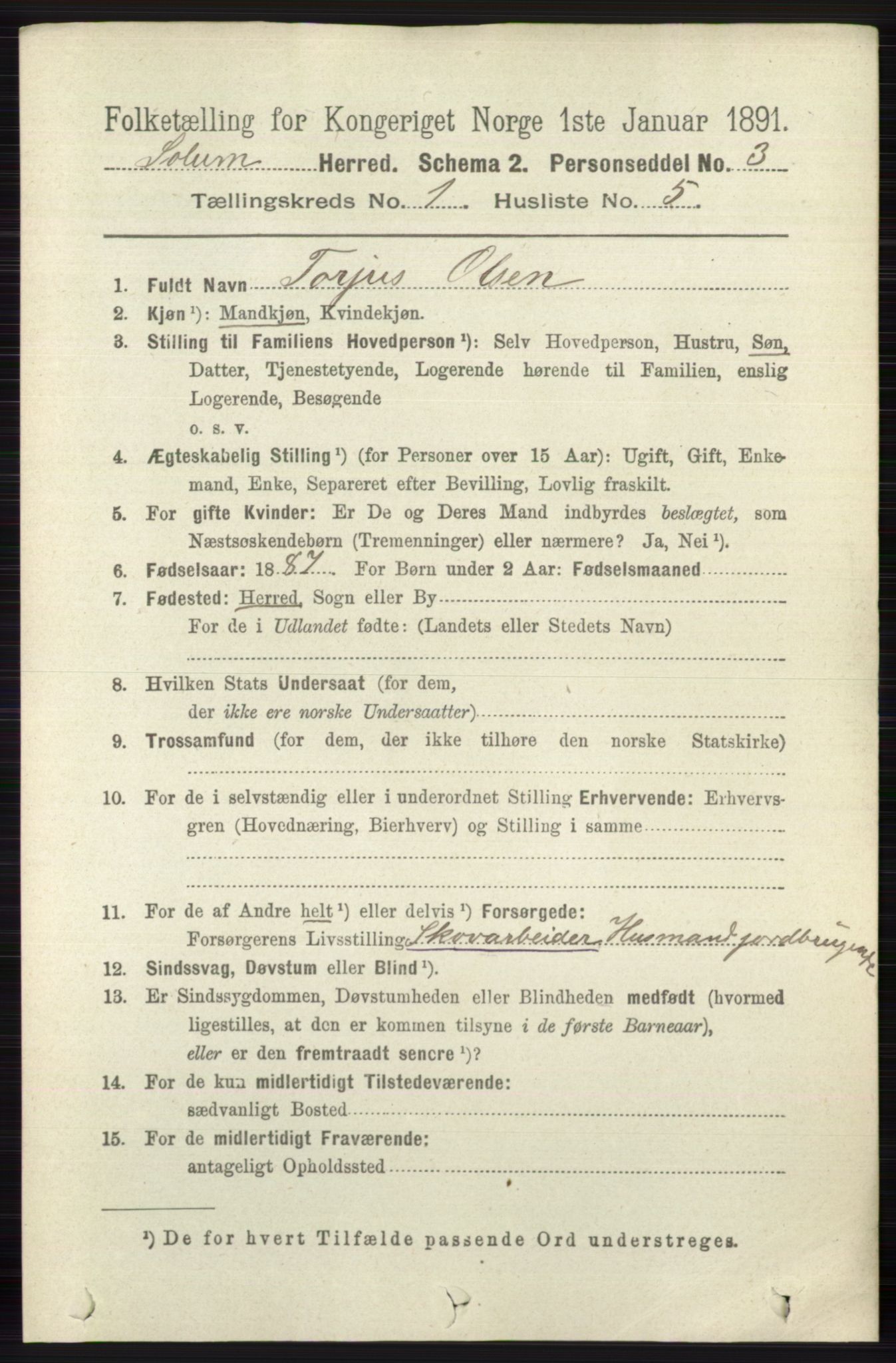 RA, 1891 census for 0818 Solum, 1891, p. 73