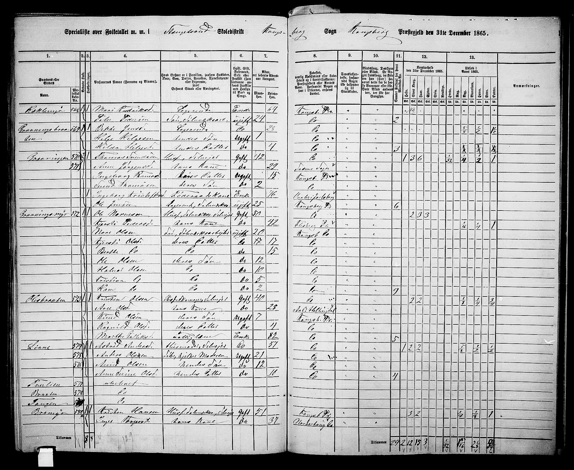 RA, 1865 census for Kongsberg/Kongsberg, 1865, p. 8