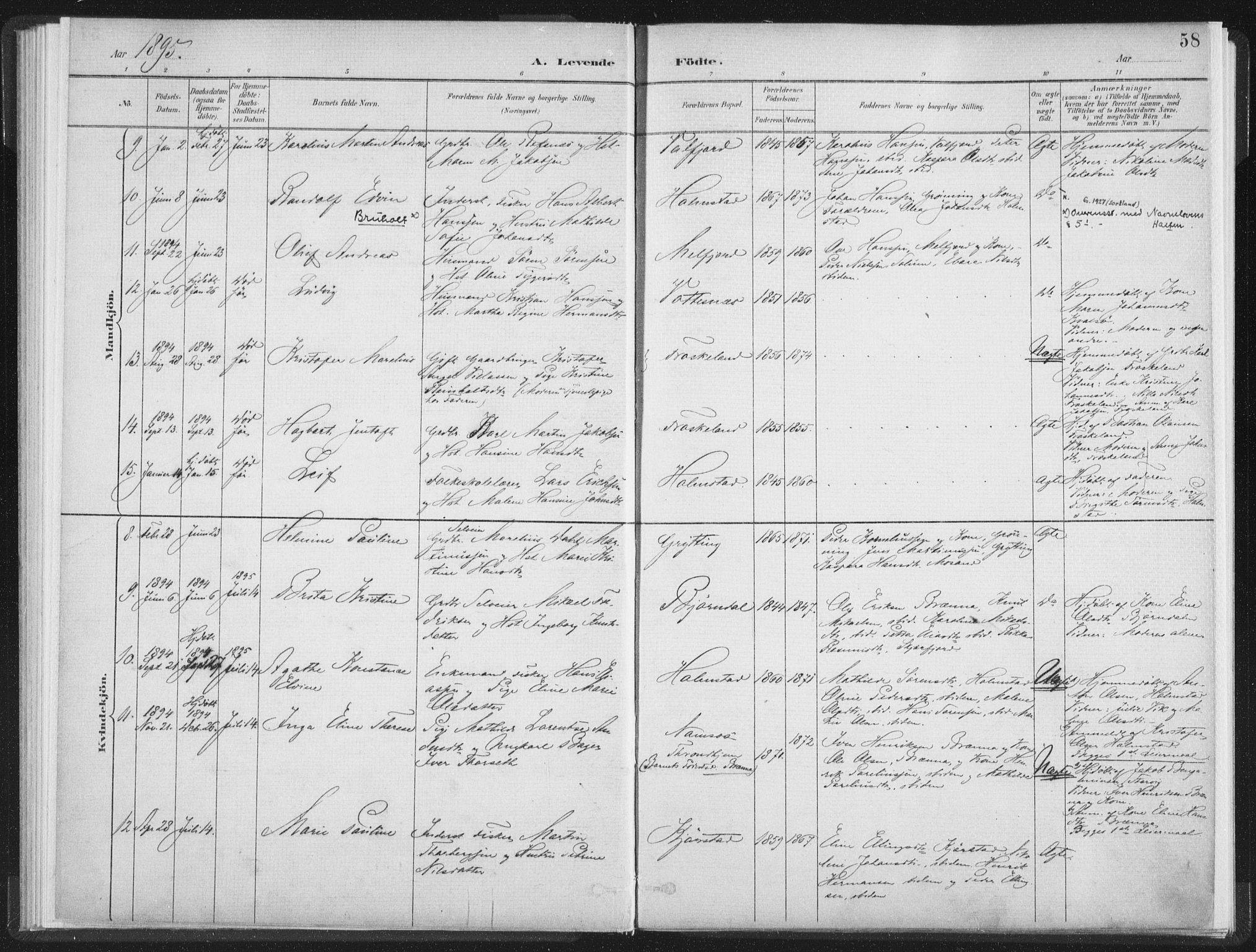 Ministerialprotokoller, klokkerbøker og fødselsregistre - Nordland, SAT/A-1459/890/L1286: Parish register (official) no. 890A01, 1882-1902, p. 58