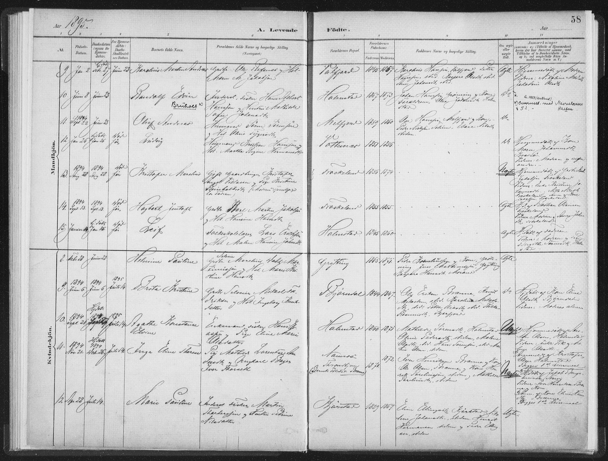 Ministerialprotokoller, klokkerbøker og fødselsregistre - Nordland, AV/SAT-A-1459/890/L1286: Parish register (official) no. 890A01, 1882-1902, p. 58