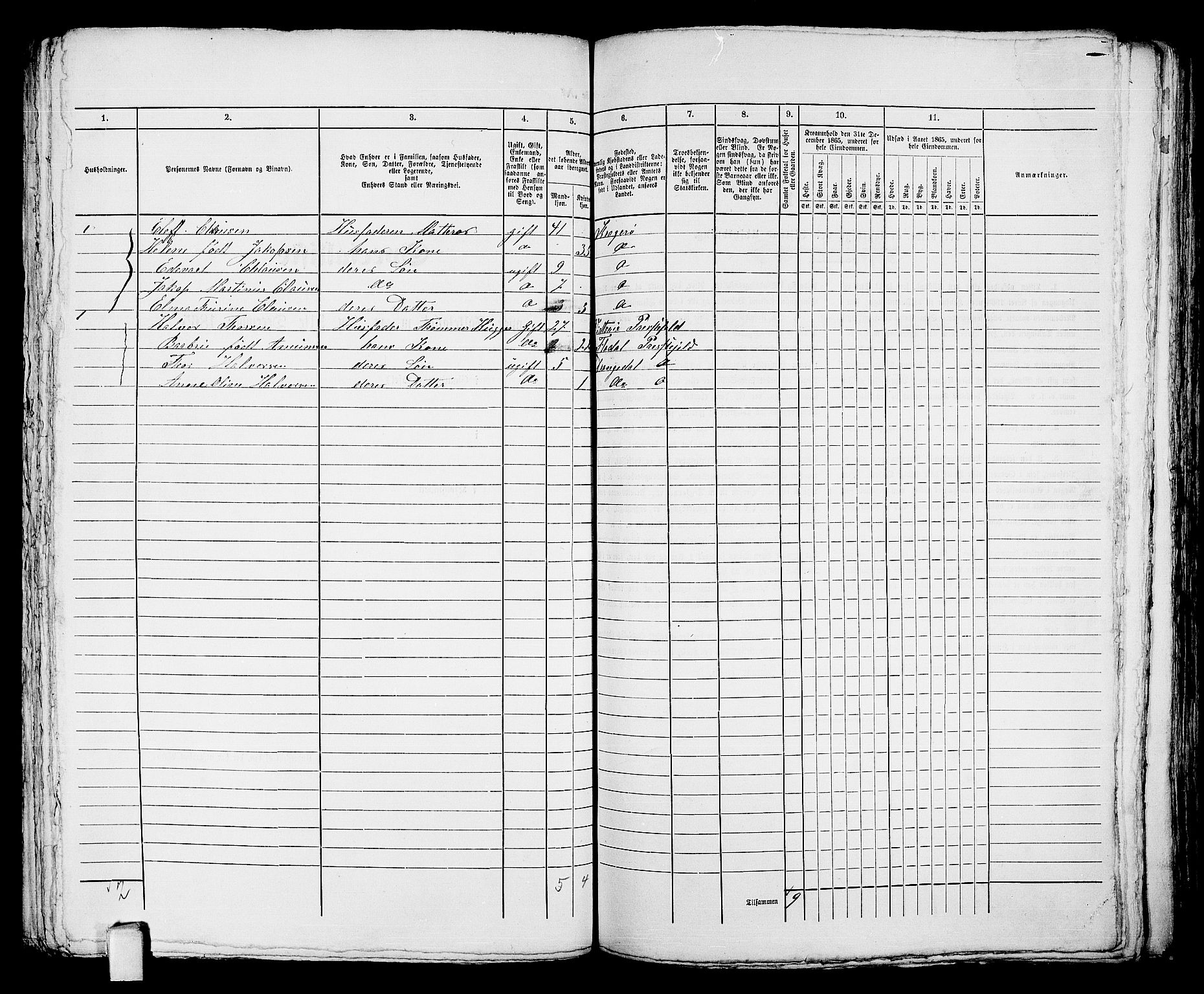 RA, 1865 census for Kragerø/Kragerø, 1865, p. 331