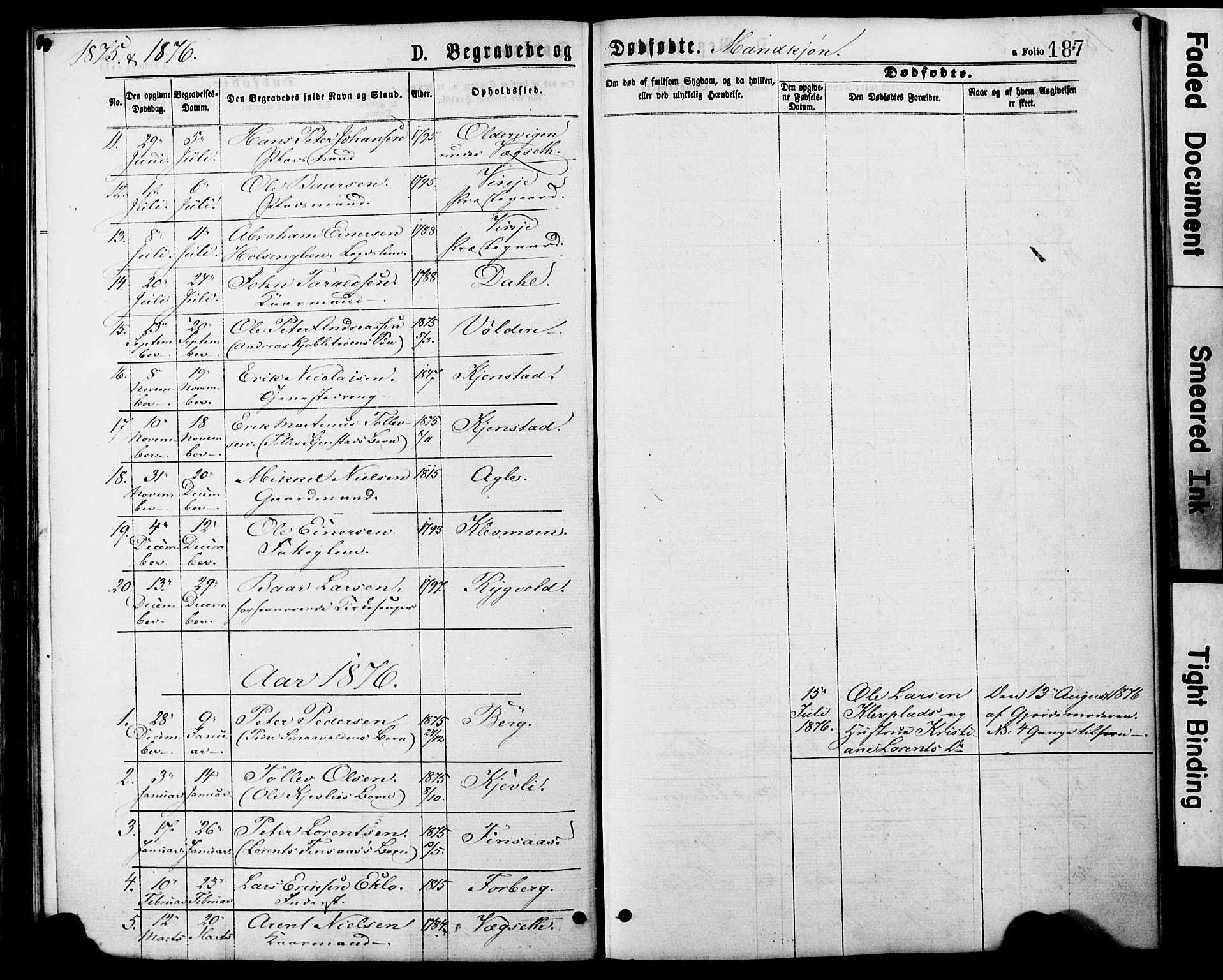 Ministerialprotokoller, klokkerbøker og fødselsregistre - Nord-Trøndelag, SAT/A-1458/749/L0473: Parish register (official) no. 749A07, 1873-1887, p. 187