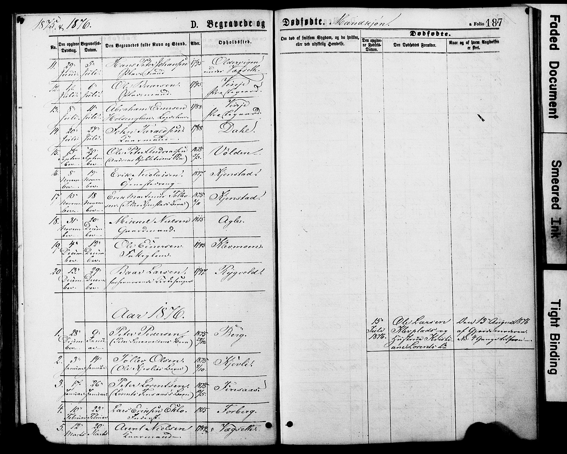 Ministerialprotokoller, klokkerbøker og fødselsregistre - Nord-Trøndelag, AV/SAT-A-1458/749/L0473: Parish register (official) no. 749A07, 1873-1887, p. 187