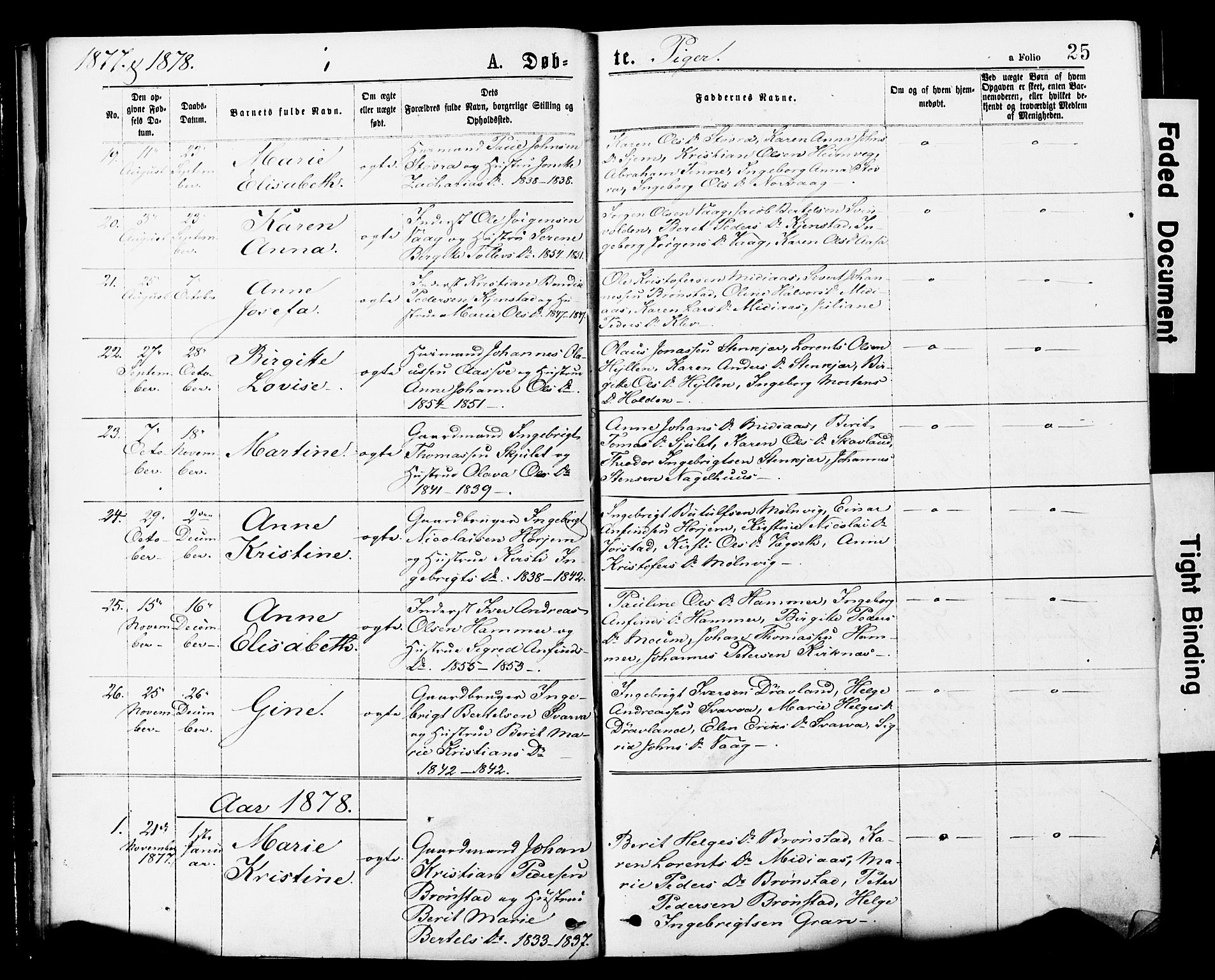 Ministerialprotokoller, klokkerbøker og fødselsregistre - Nord-Trøndelag, SAT/A-1458/749/L0473: Parish register (official) no. 749A07, 1873-1887, p. 25