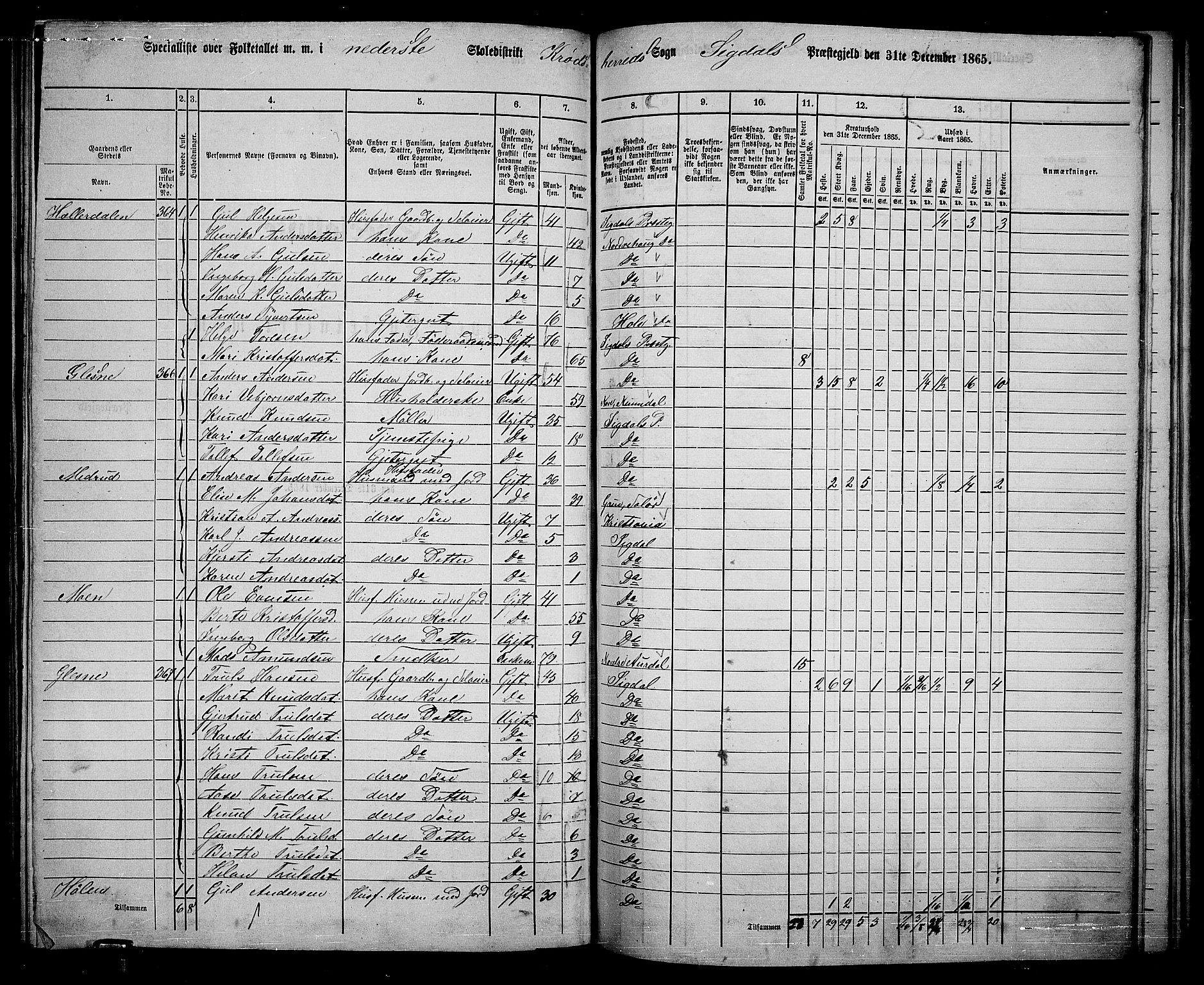 RA, 1865 census for Sigdal, 1865, p. 192