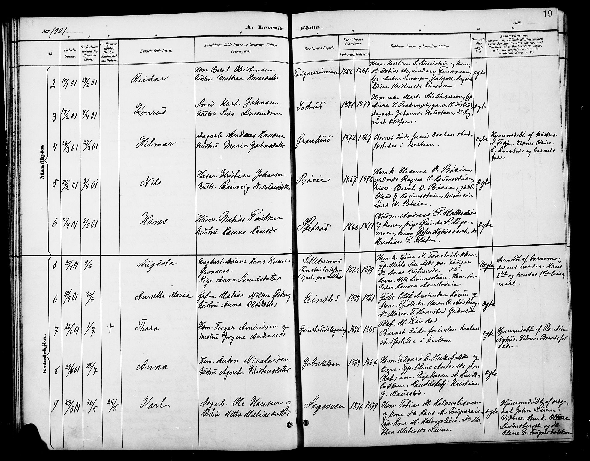 Østre Gausdal prestekontor, SAH/PREST-092/H/Ha/Hab/L0003: Parish register (copy) no. 3, 1894-1915, p. 19