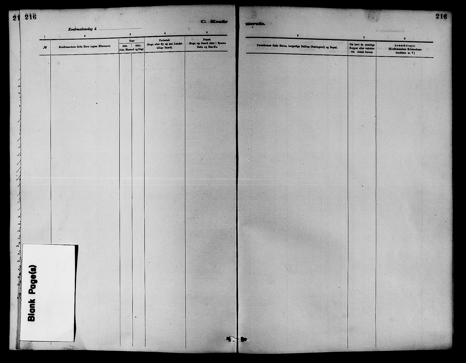 Nedre Eiker kirkebøker, AV/SAKO-A-612/F/Fa/L0001: Parish register (official) no. 1, 1853-1877, p. 216