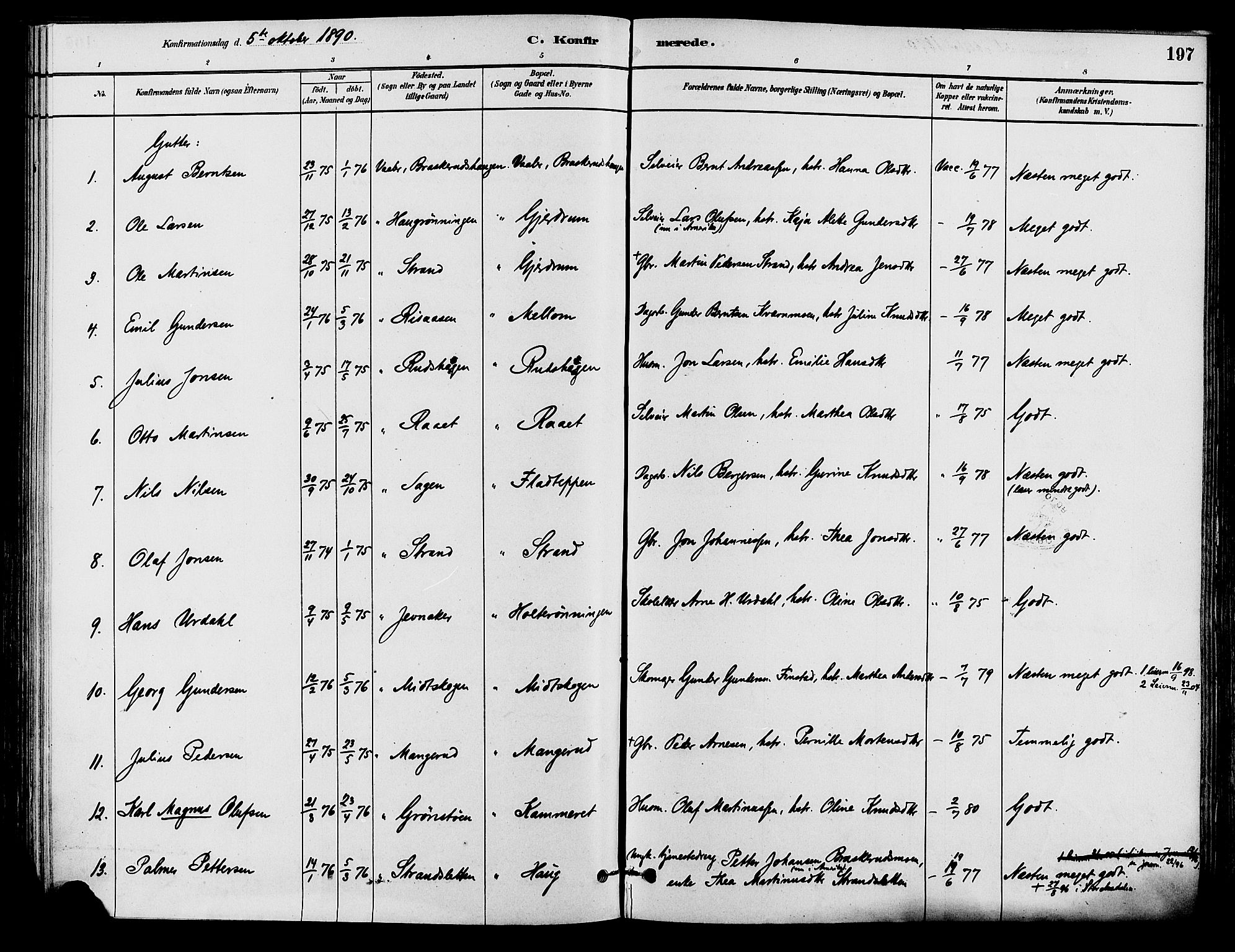 Våler prestekontor, Hedmark, AV/SAH-PREST-040/H/Ha/Haa/L0002: Parish register (official) no. 3, 1879-1911, p. 197