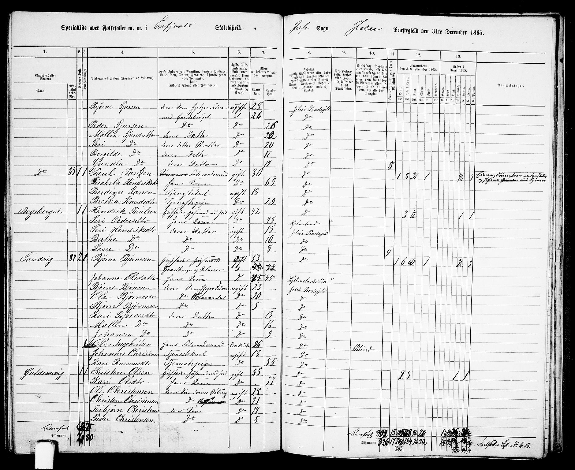 RA, 1865 census for Jelsa, 1865, p. 107