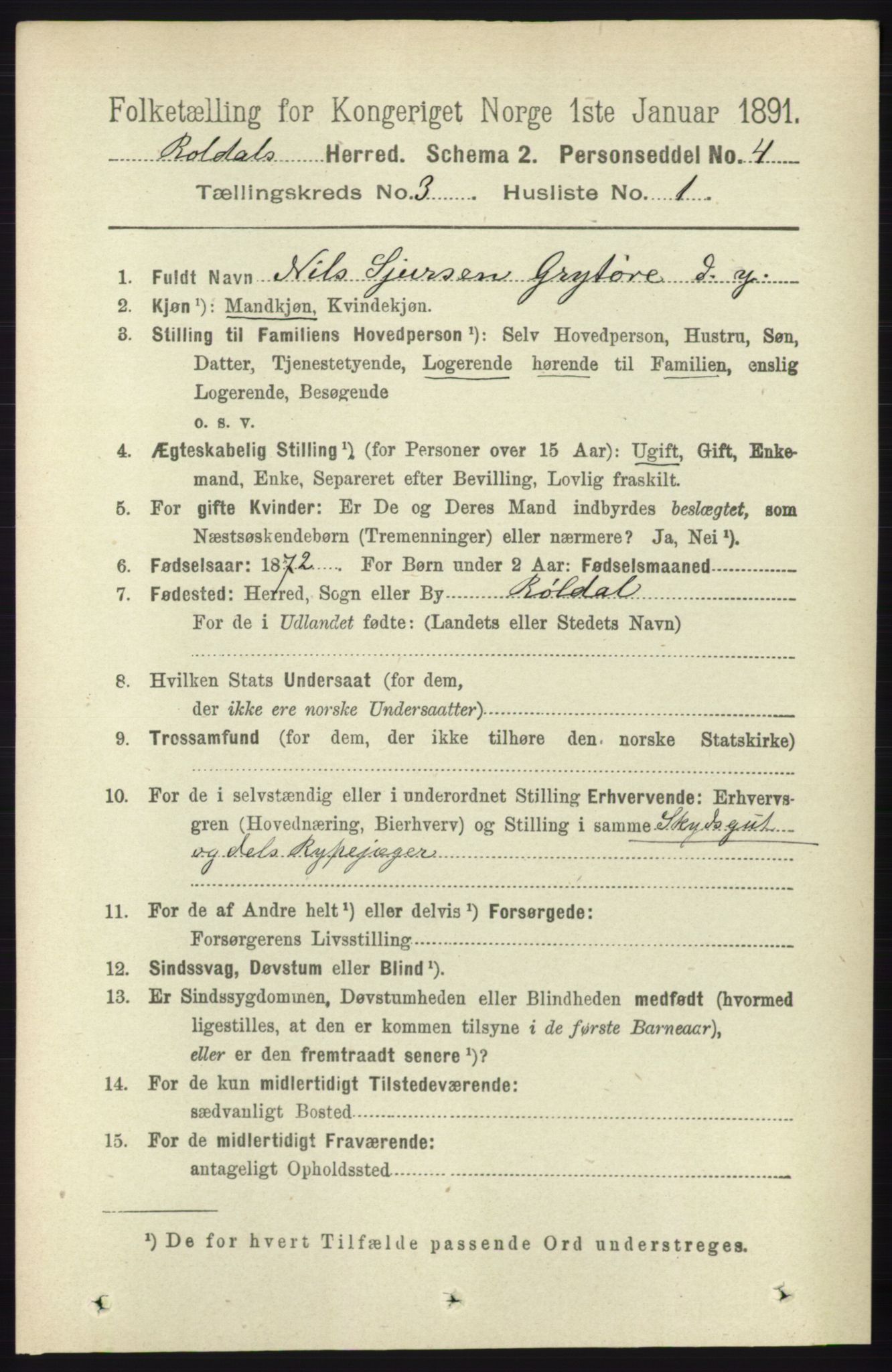 RA, 1891 census for 1229 Røldal, 1891, p. 902