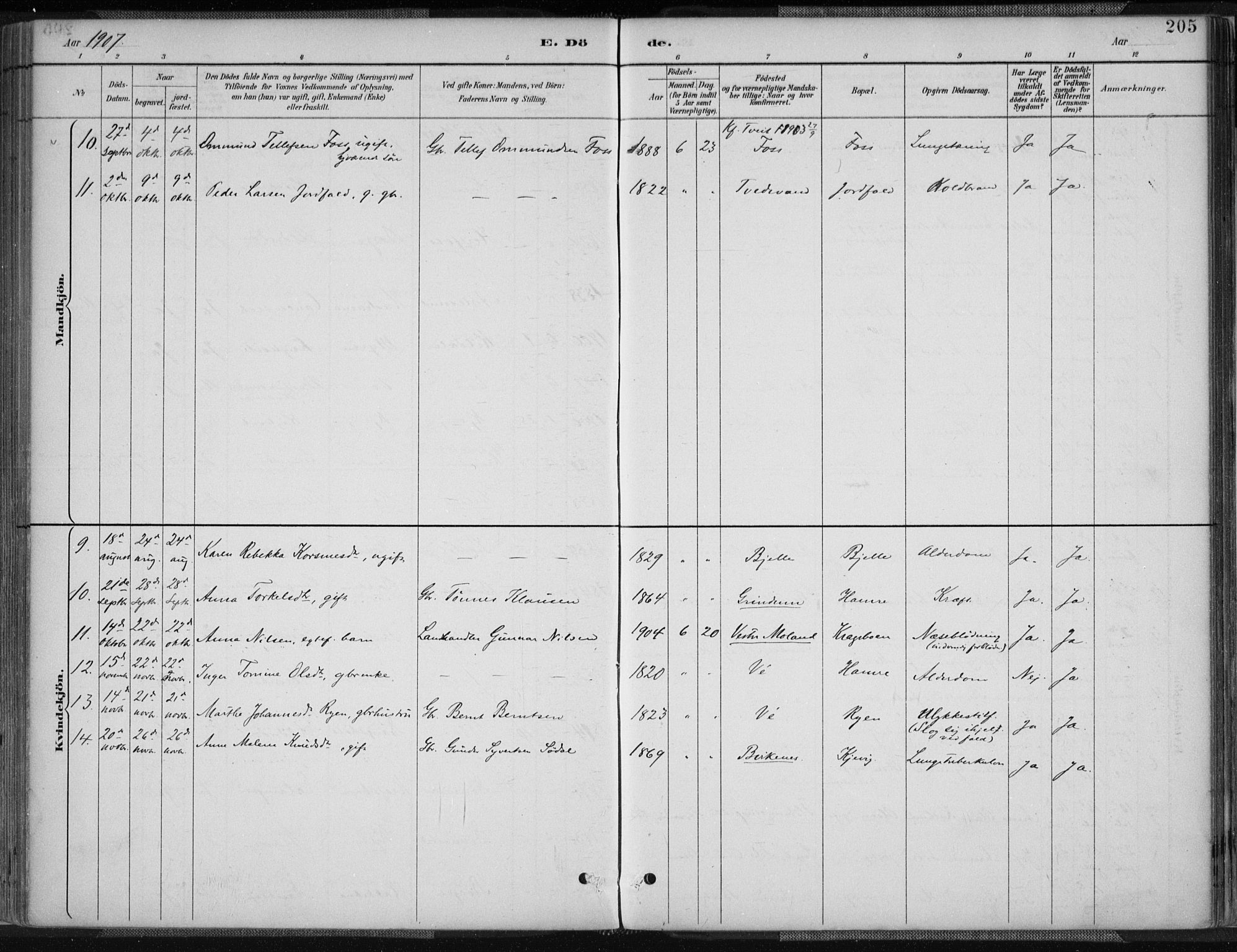 Tveit sokneprestkontor, AV/SAK-1111-0043/F/Fa/L0007: Parish register (official) no. A 7, 1887-1908, p. 205